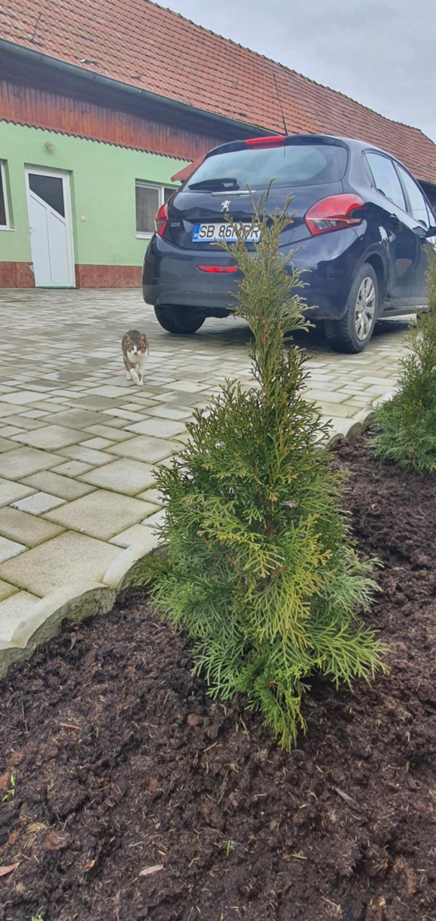 Photo 28