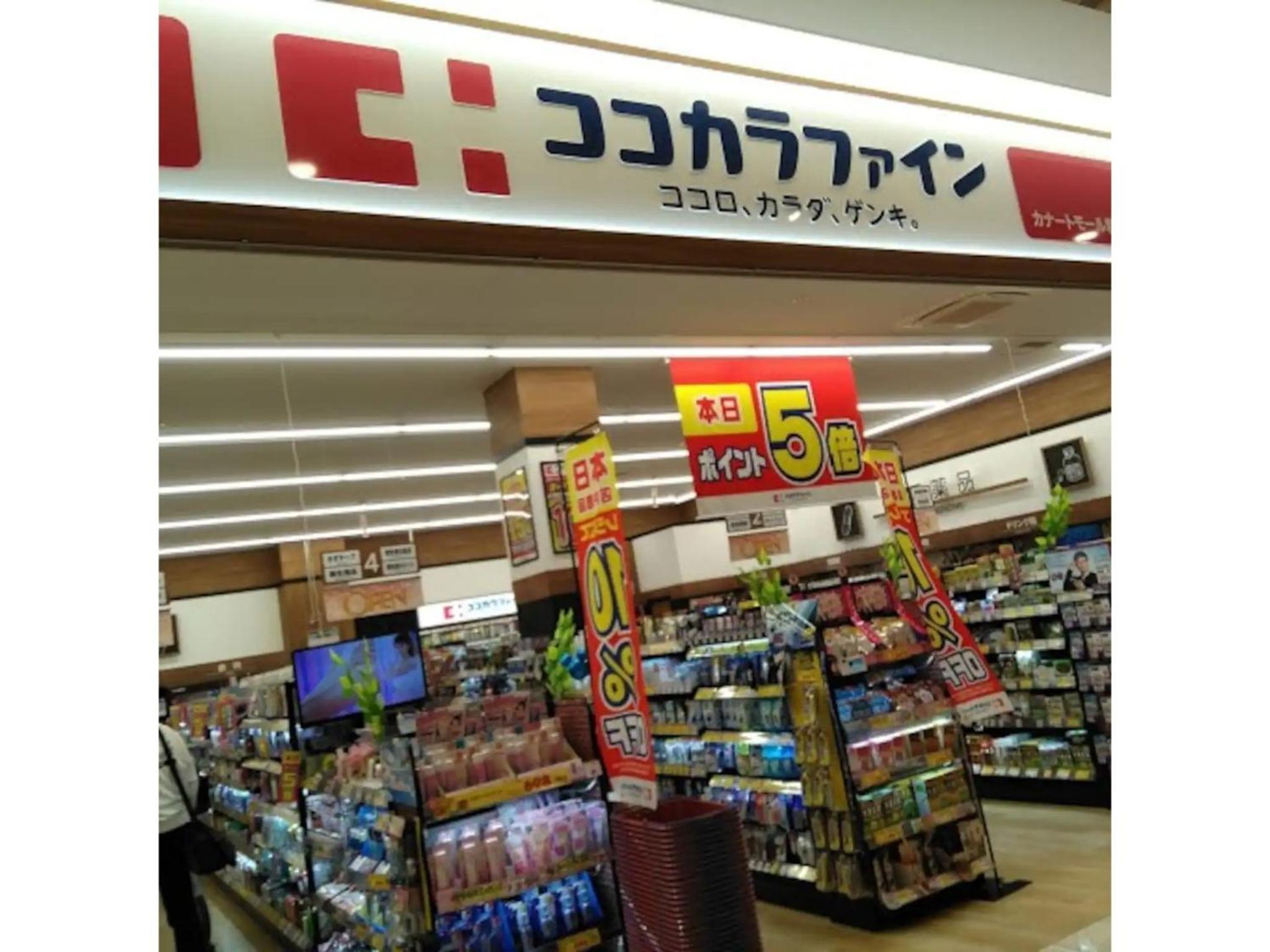 Photo 10