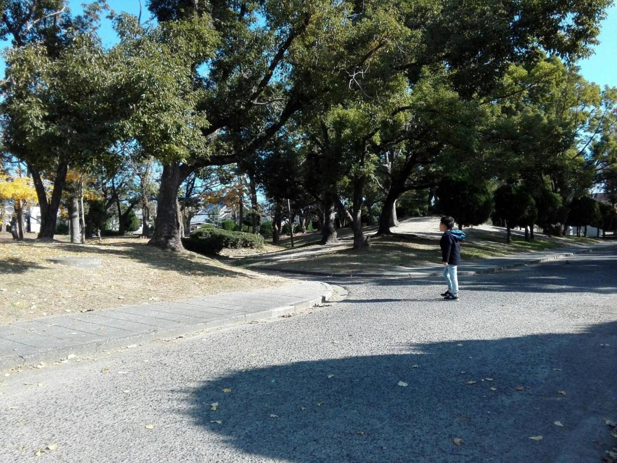 Photo 20