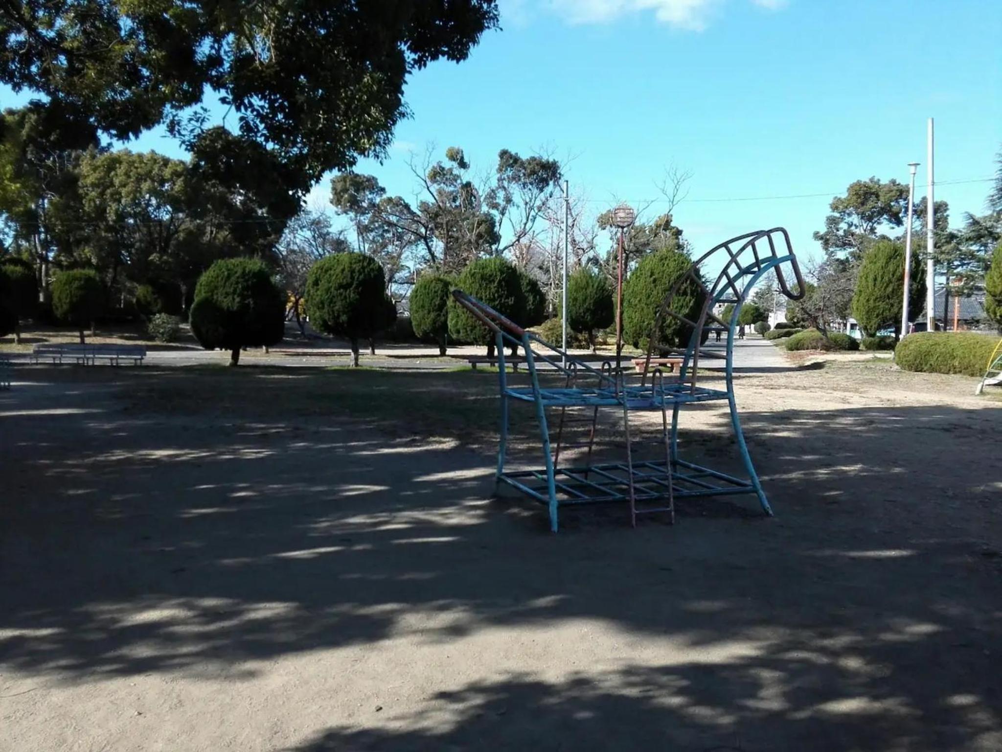 Photo 20