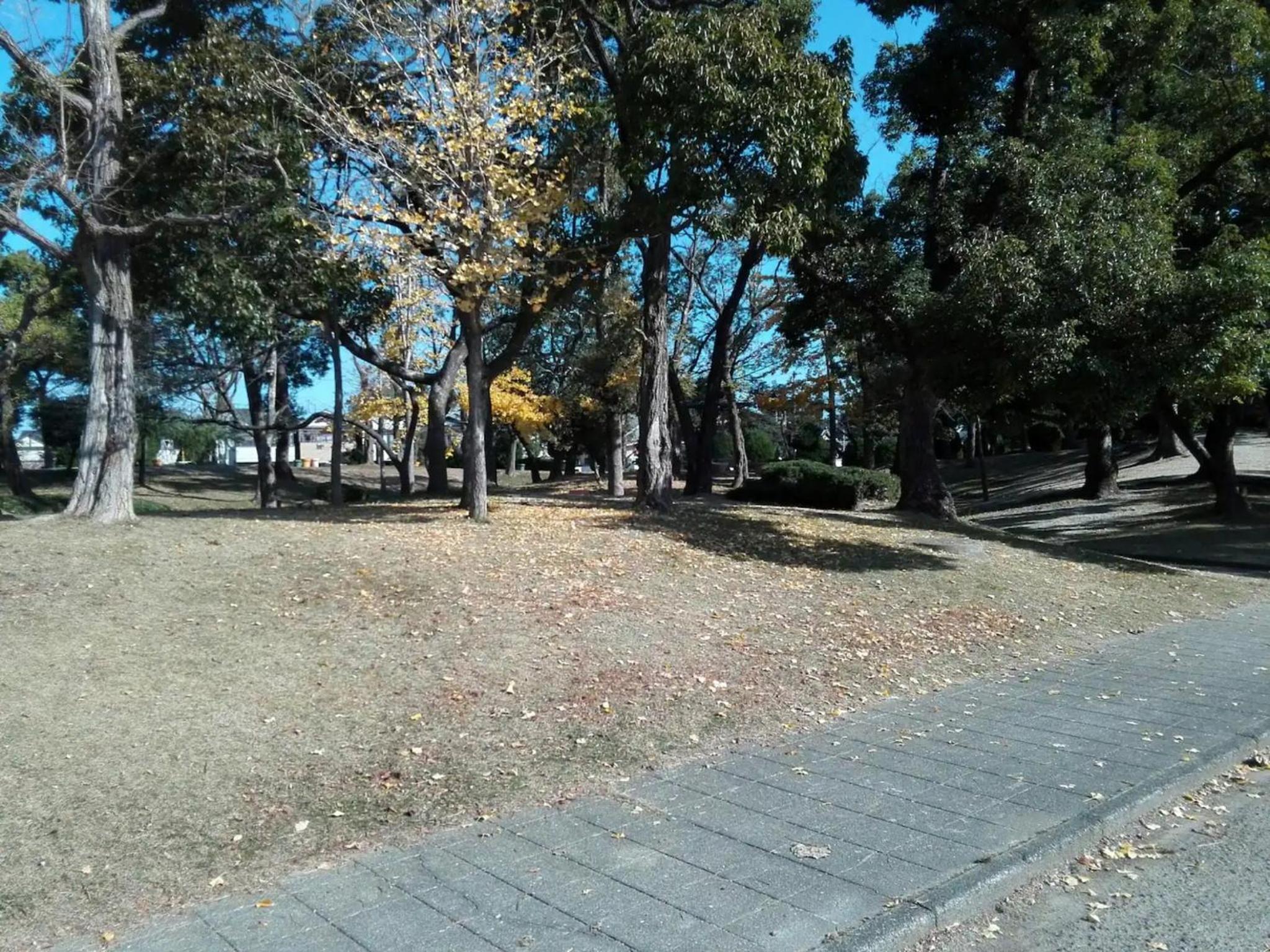 Photo 24