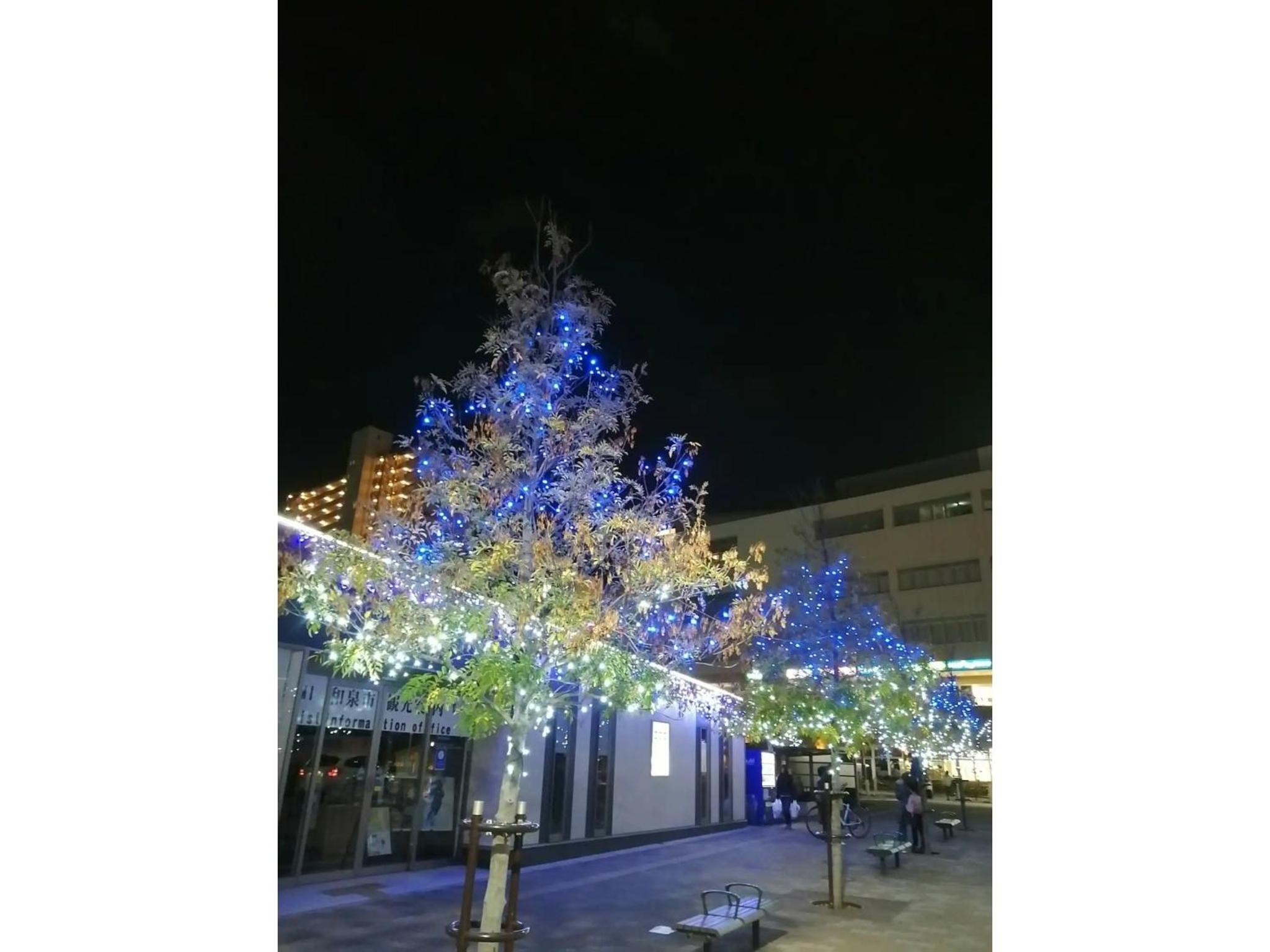 Photo 29