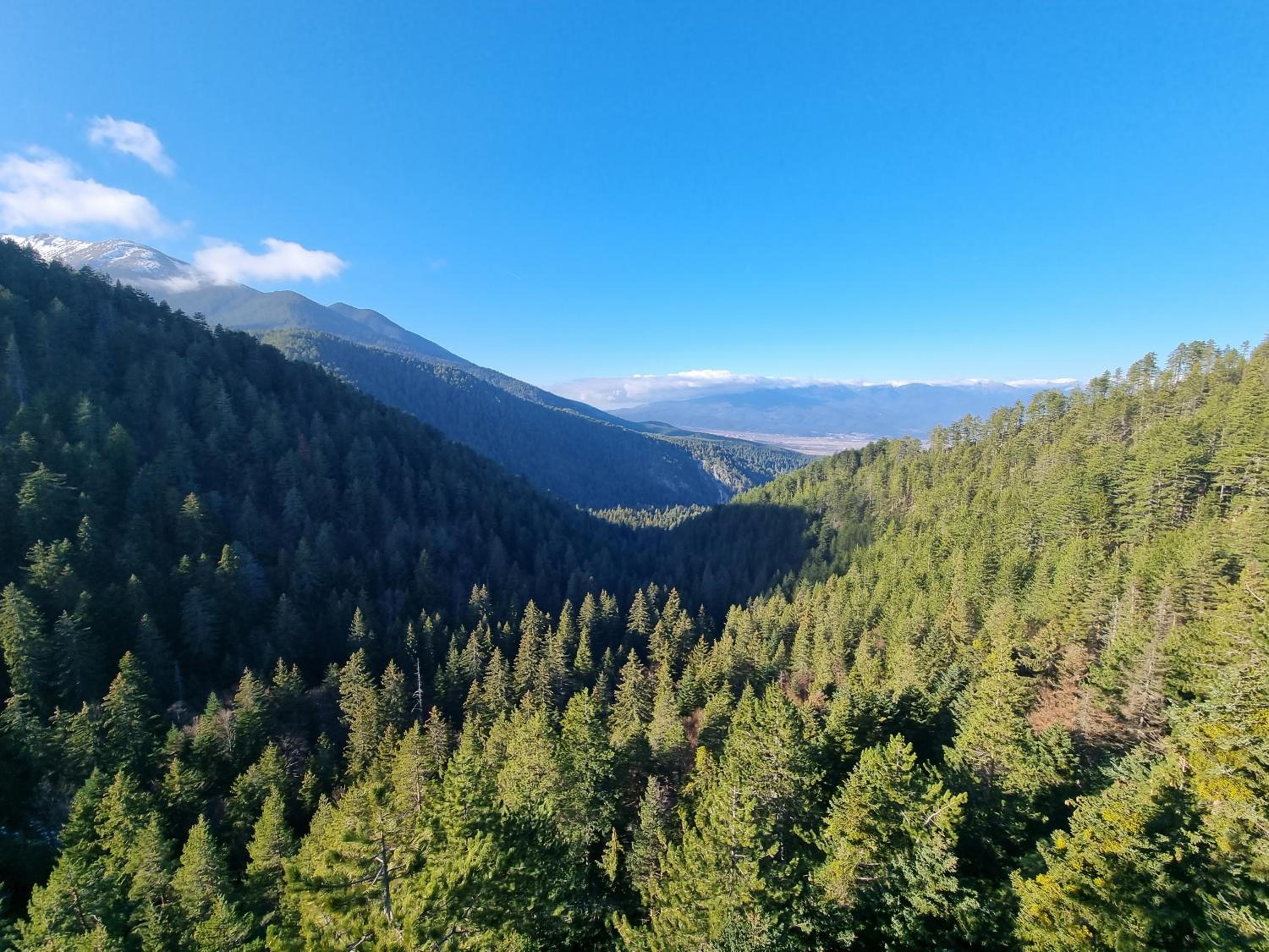 Bansko Royal Towers apartment 200m from skilift