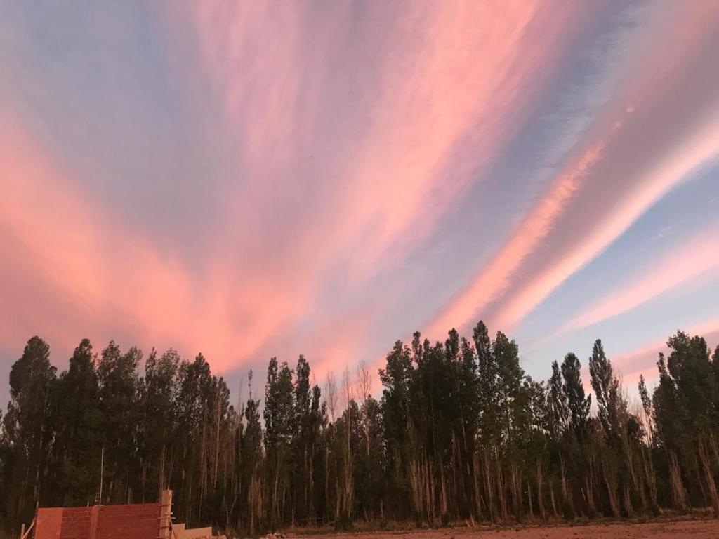 FINCA LA PAZ