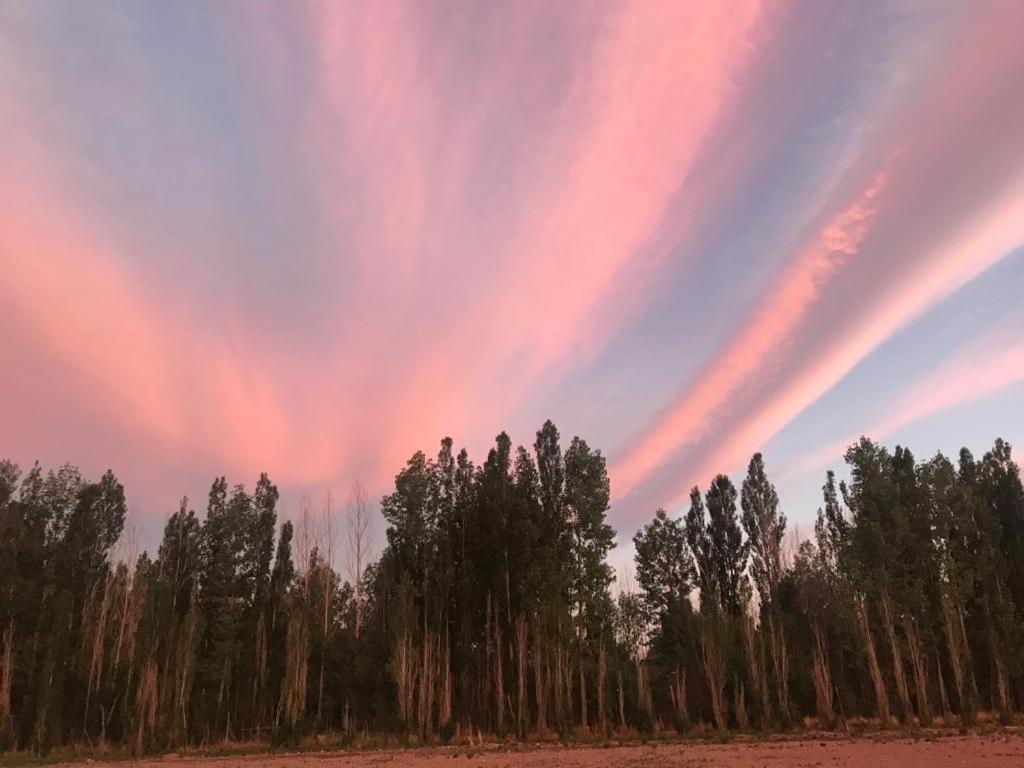 FINCA LA PAZ