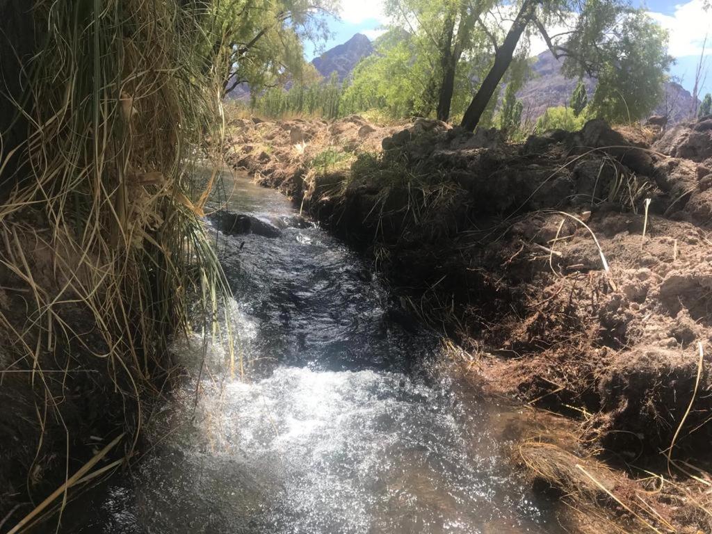 FINCA LA PAZ