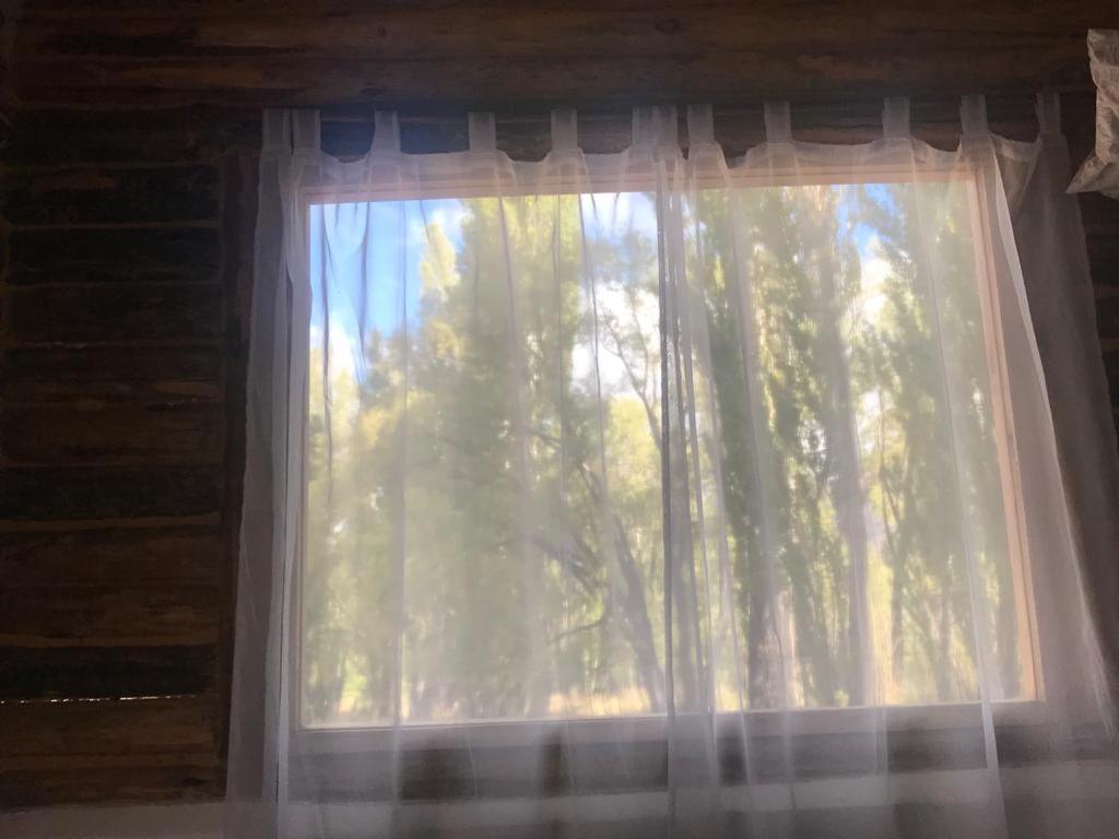 FINCA LA PAZ