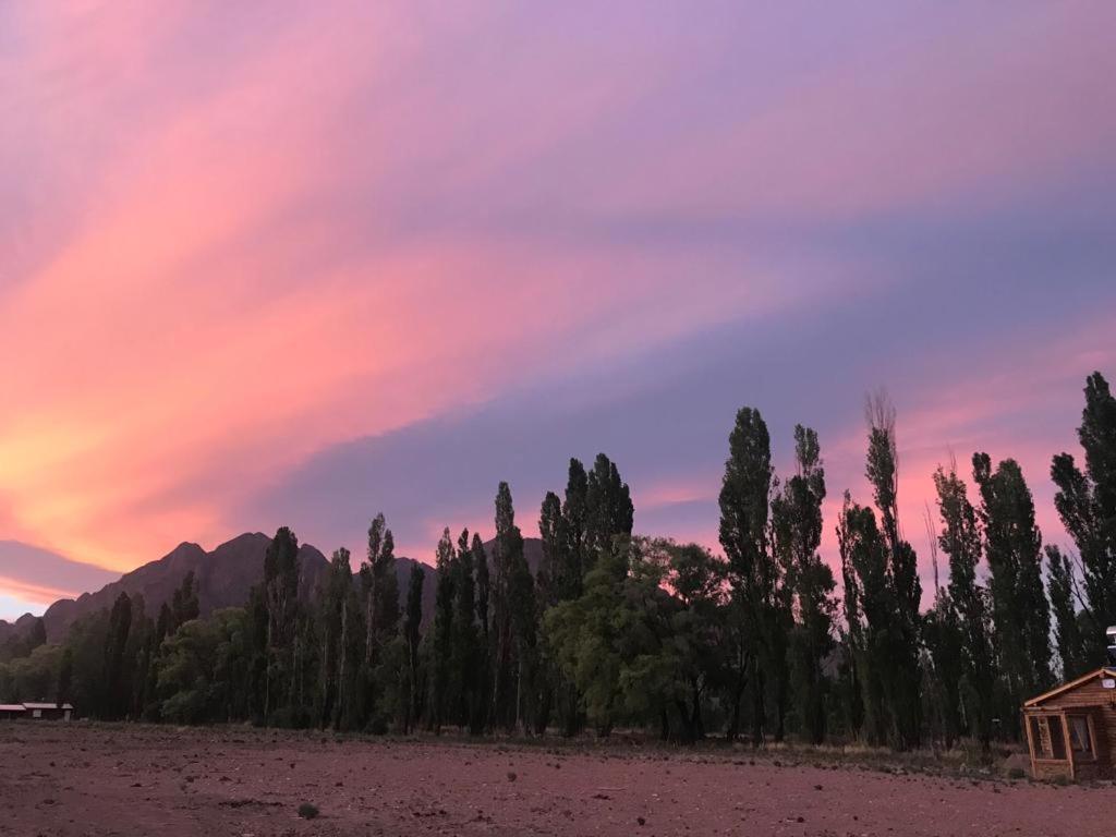 FINCA LA PAZ