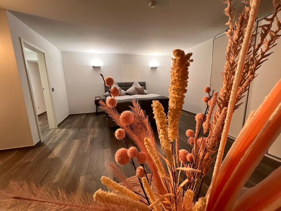 moderne Ferienwohnung in Rheinbach bei Köln/Bonn