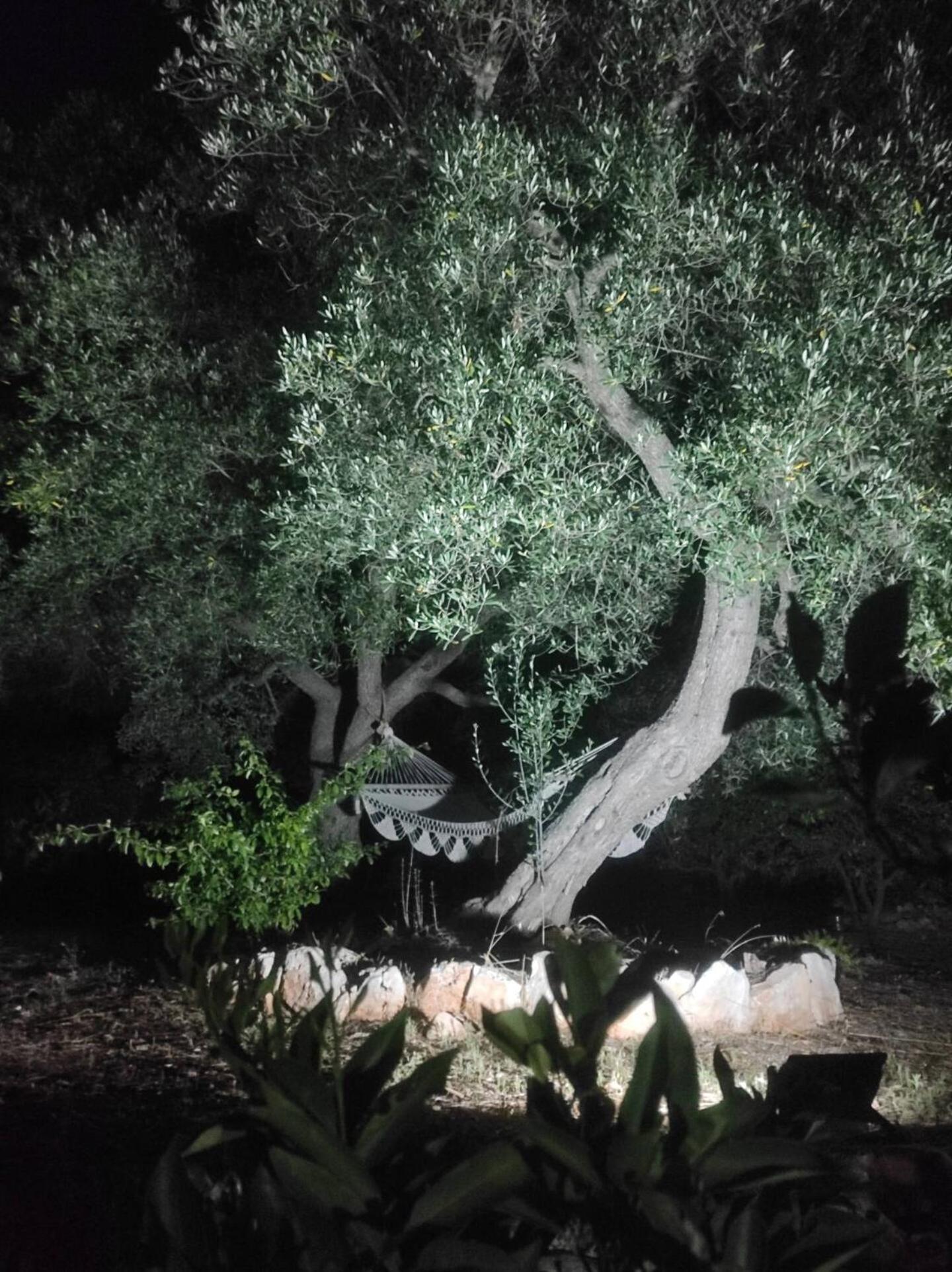 Trullo Donna Caterina