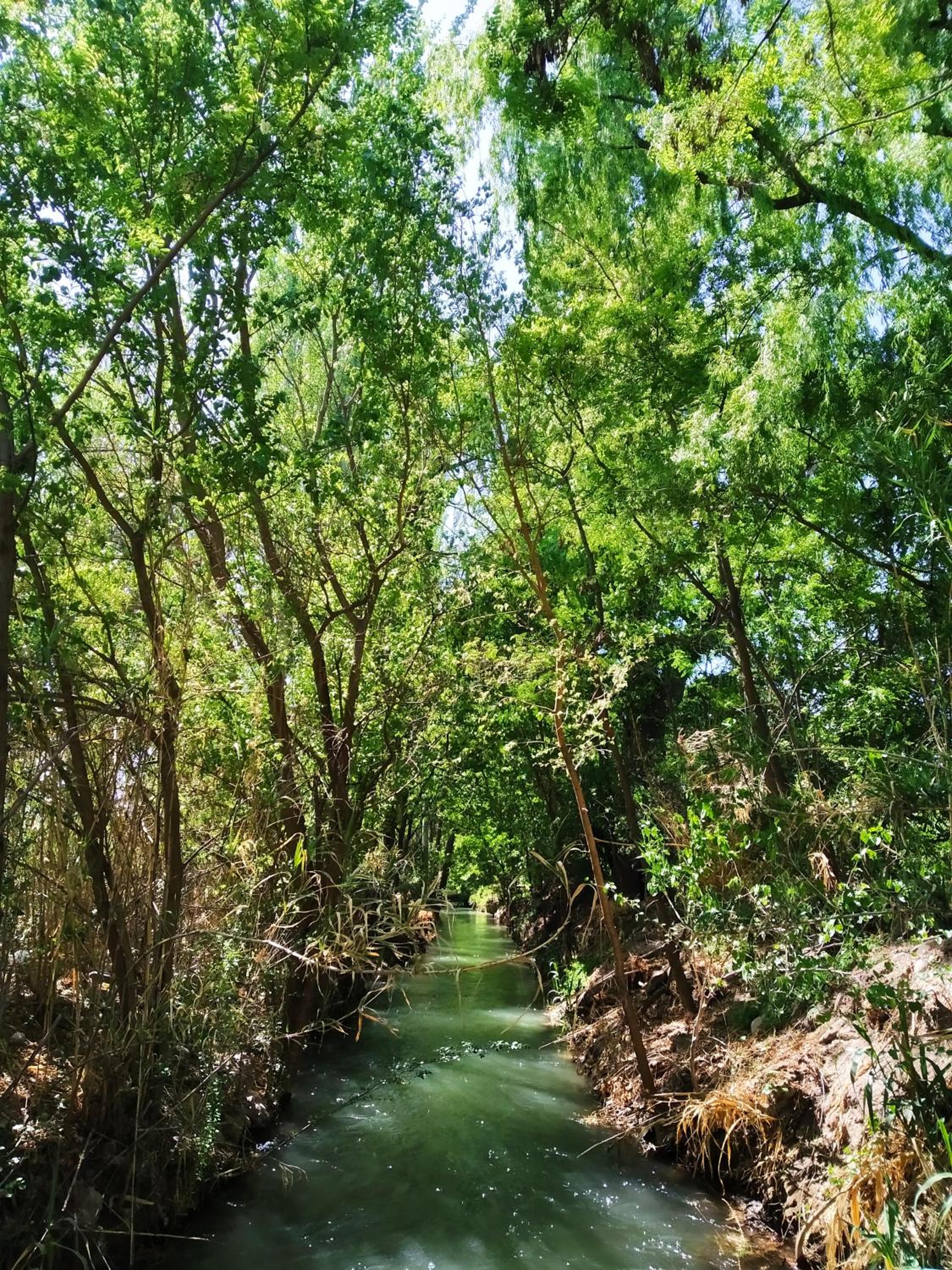 Finca La Codiciada