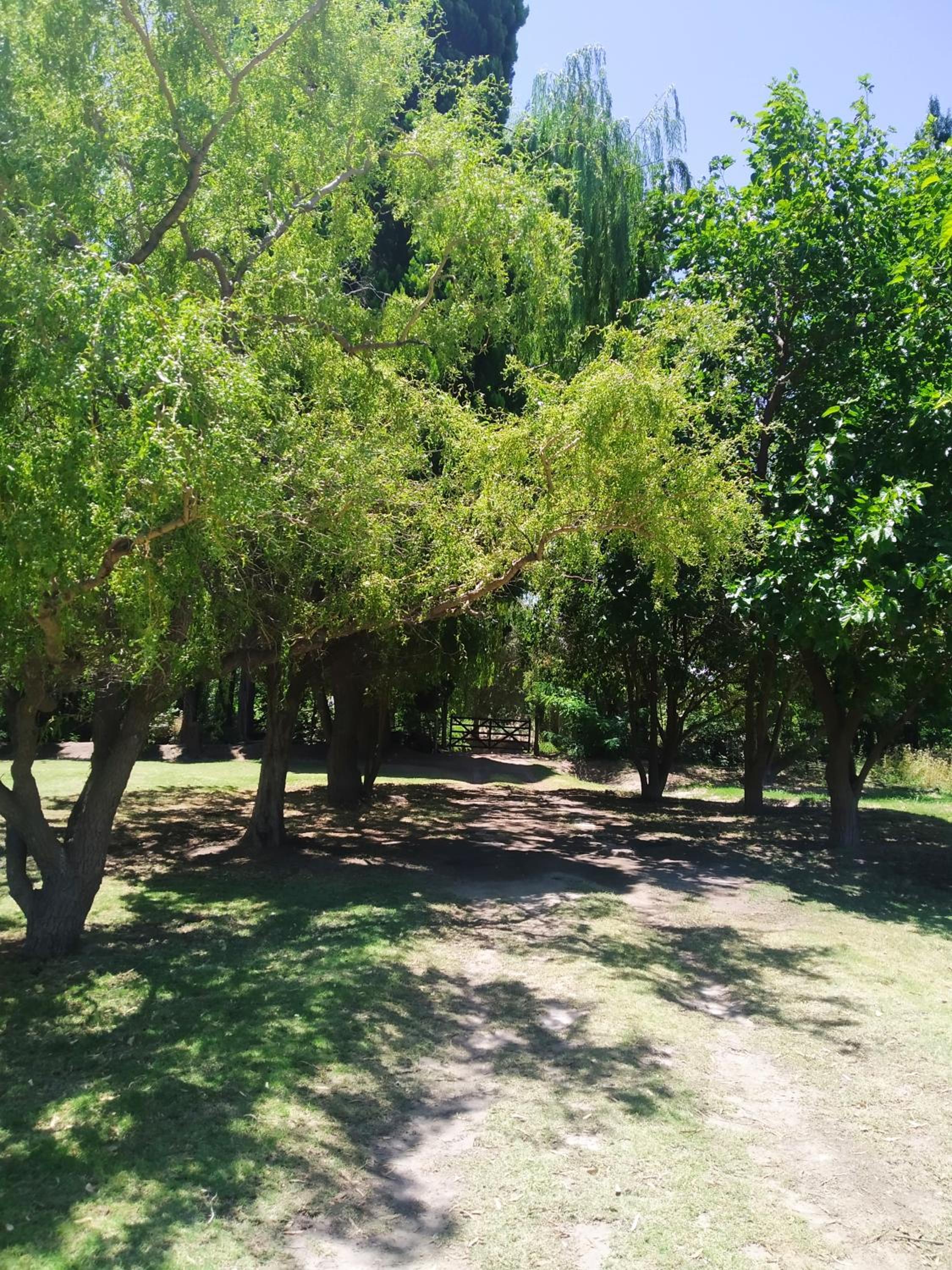 Finca La Codiciada