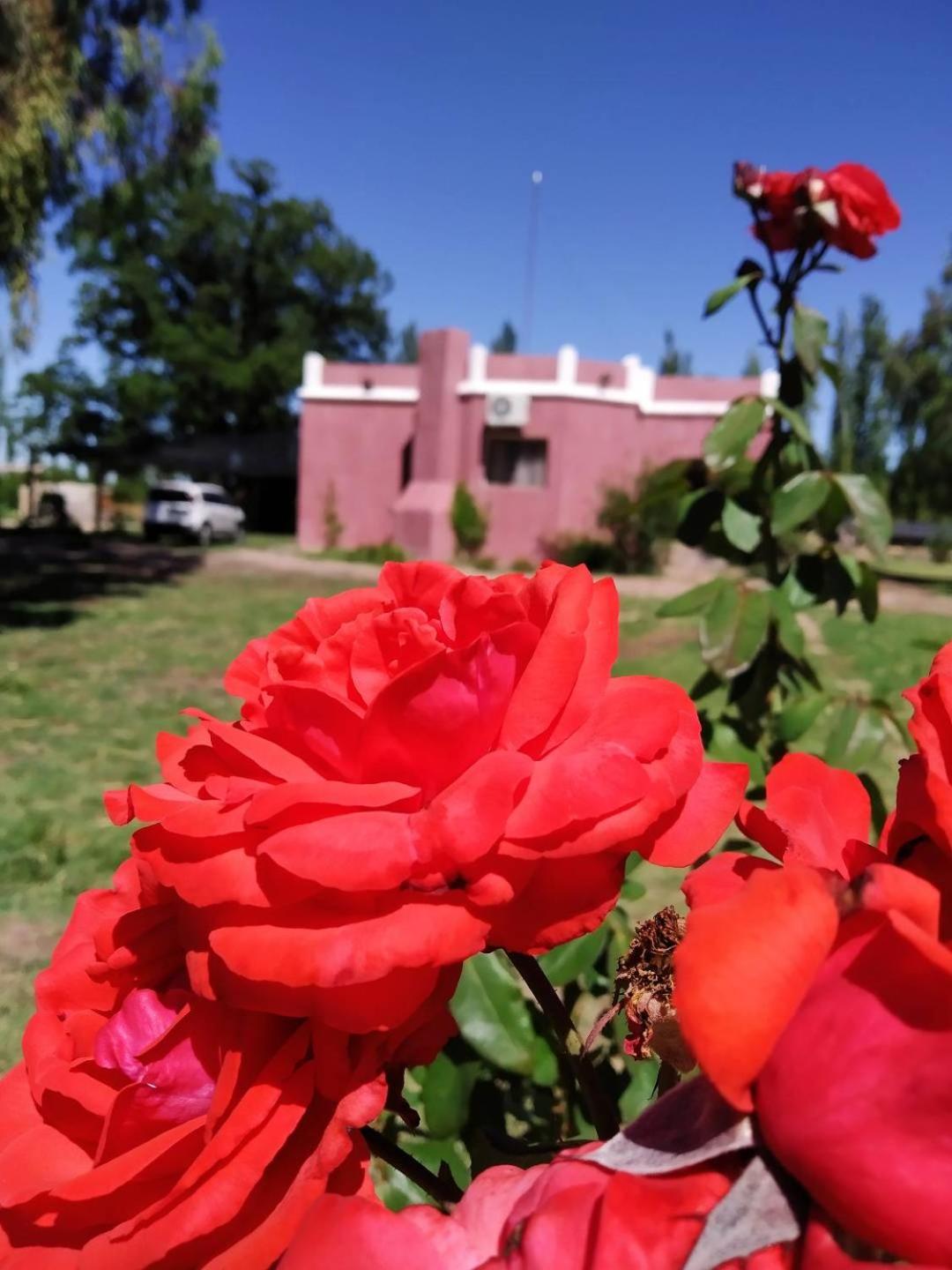 Finca La Codiciada