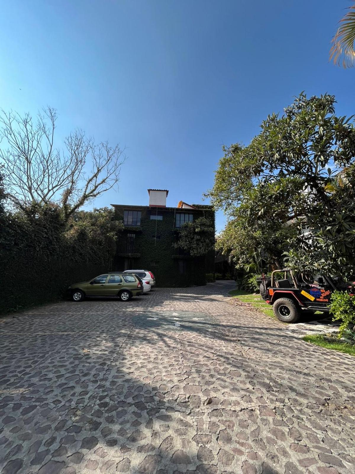 Photo 19