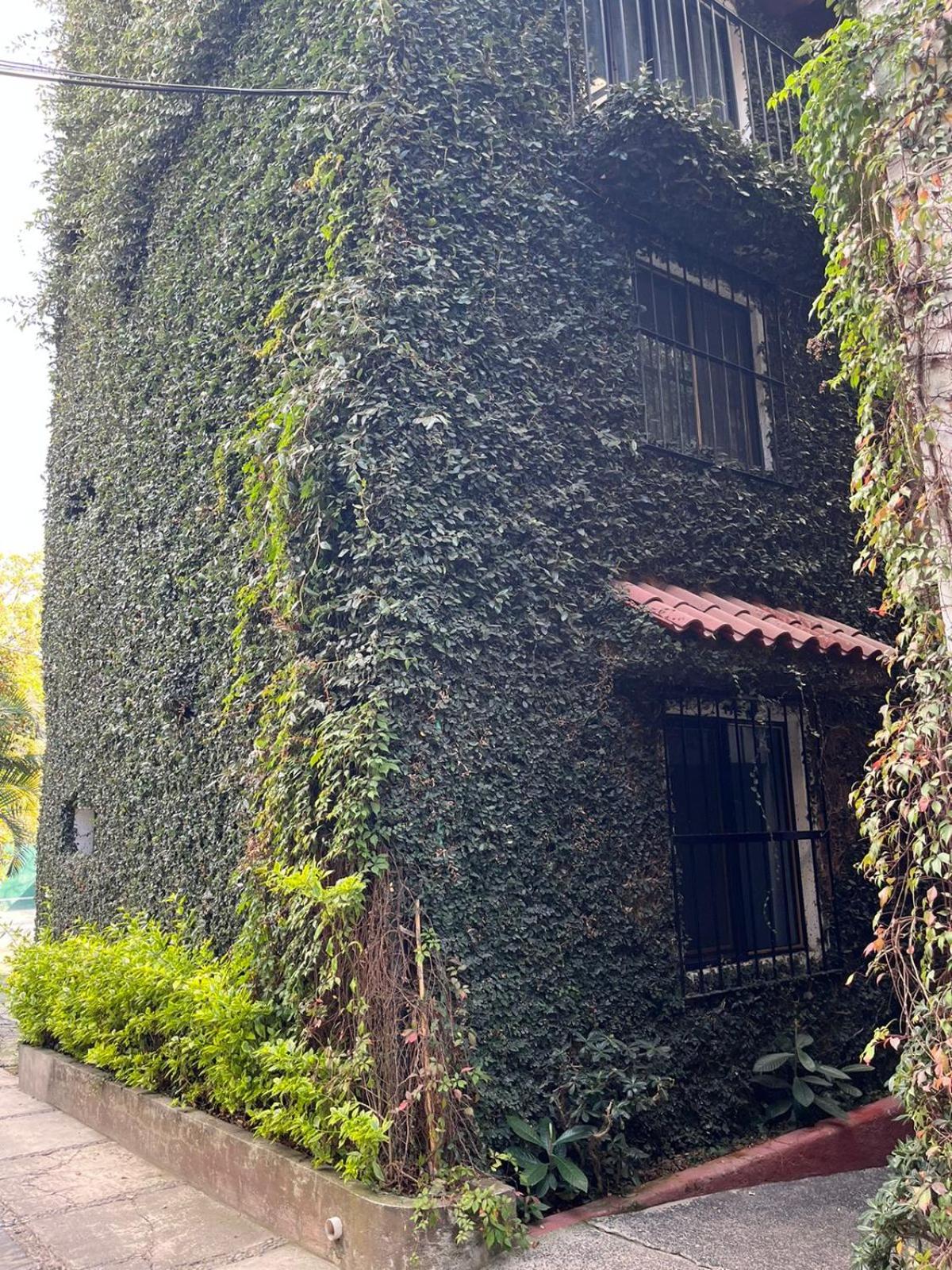 Photo 23