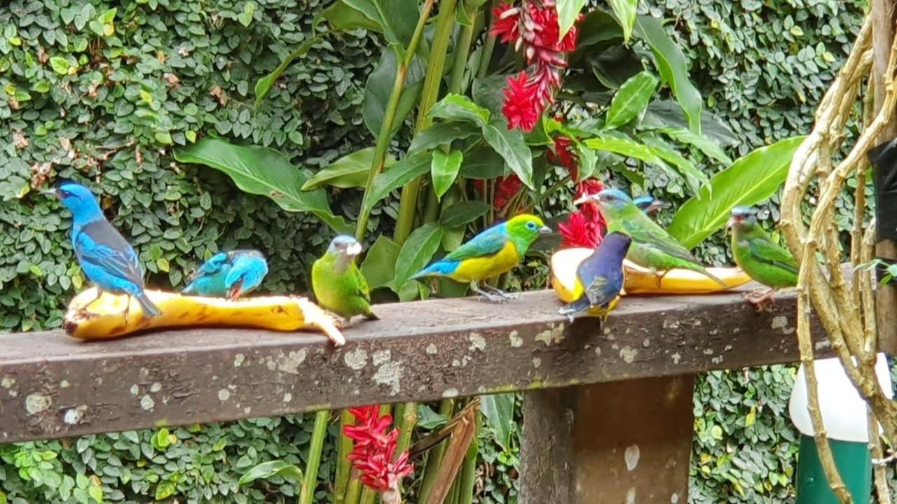 Casa na praia de Camburi em condomínio com piscina aquecida