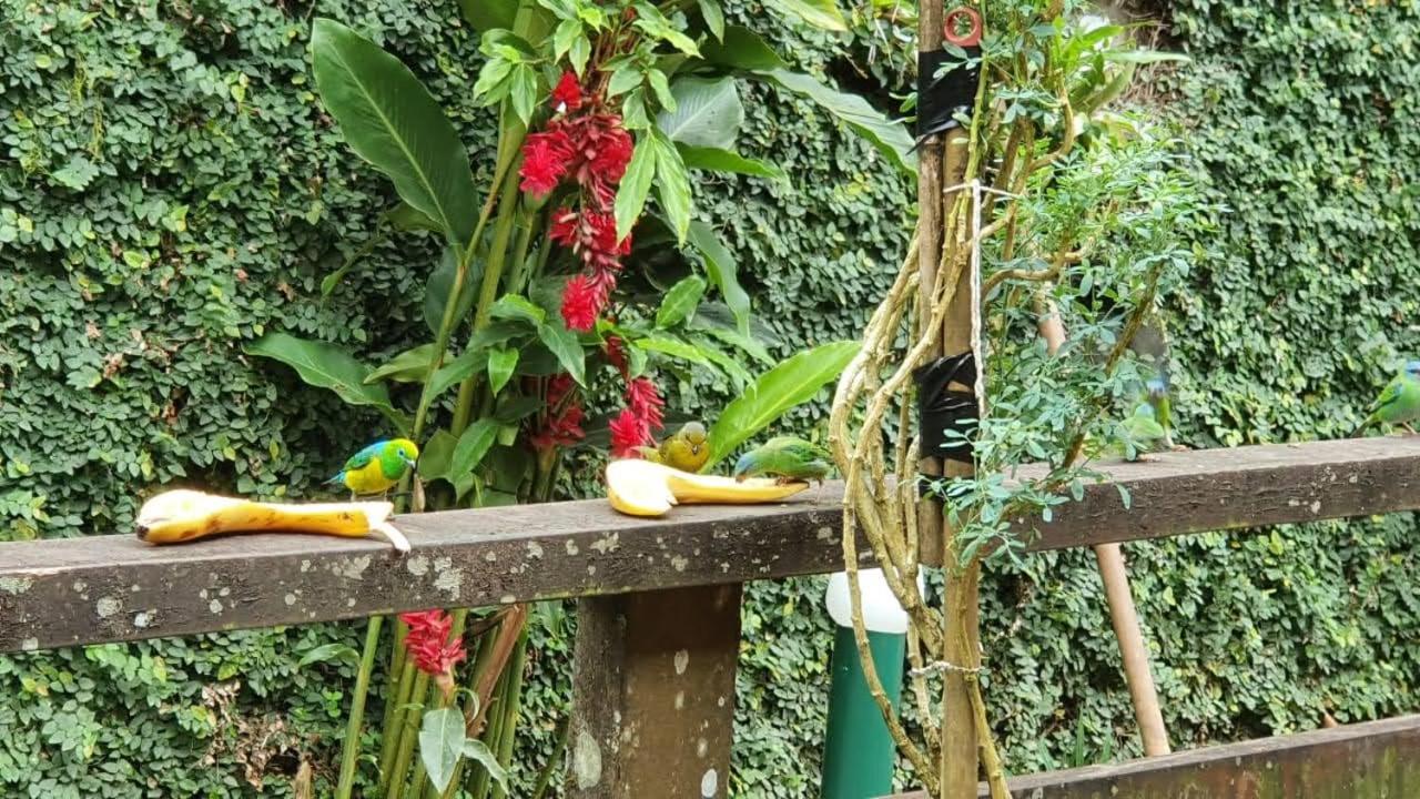 Casa na praia de Camburi em condomínio com piscina aquecida