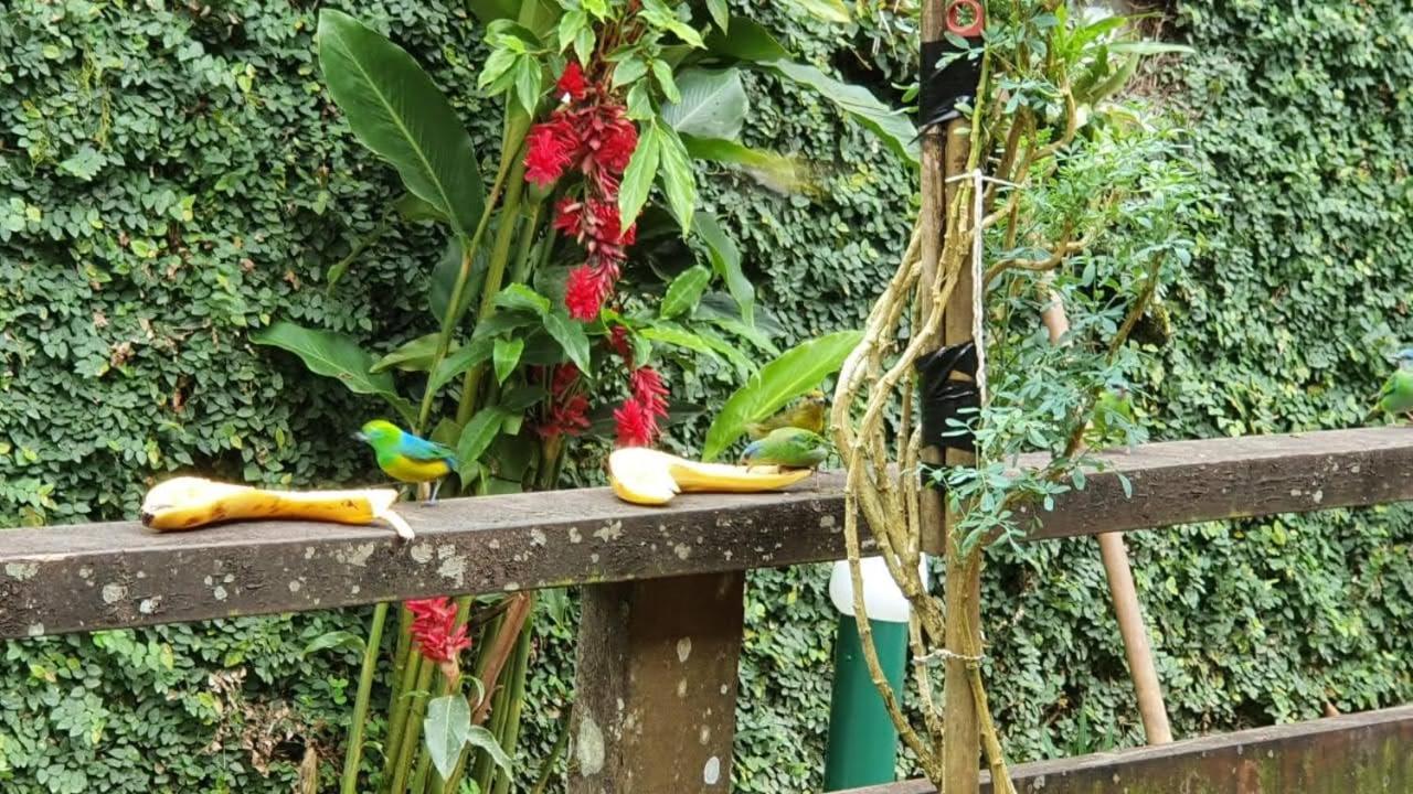 Casa na praia de Camburi em condomínio com piscina aquecida