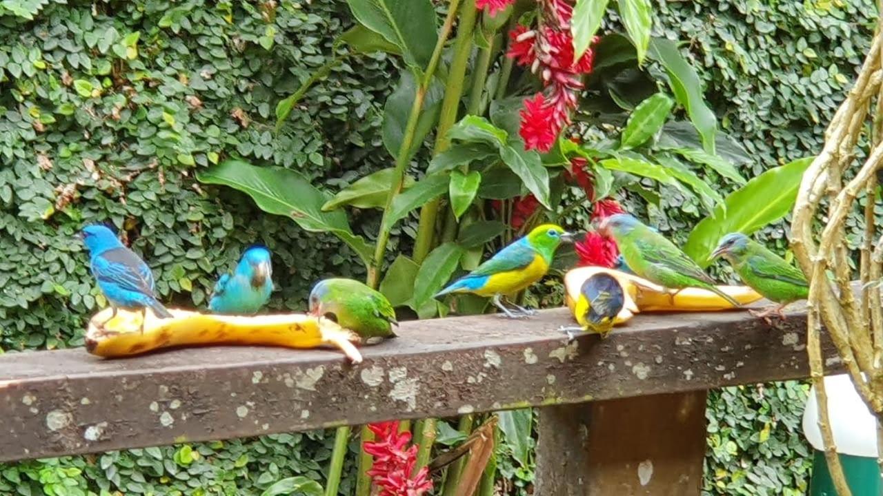 Casa na praia de Camburi em condomínio com piscina aquecida