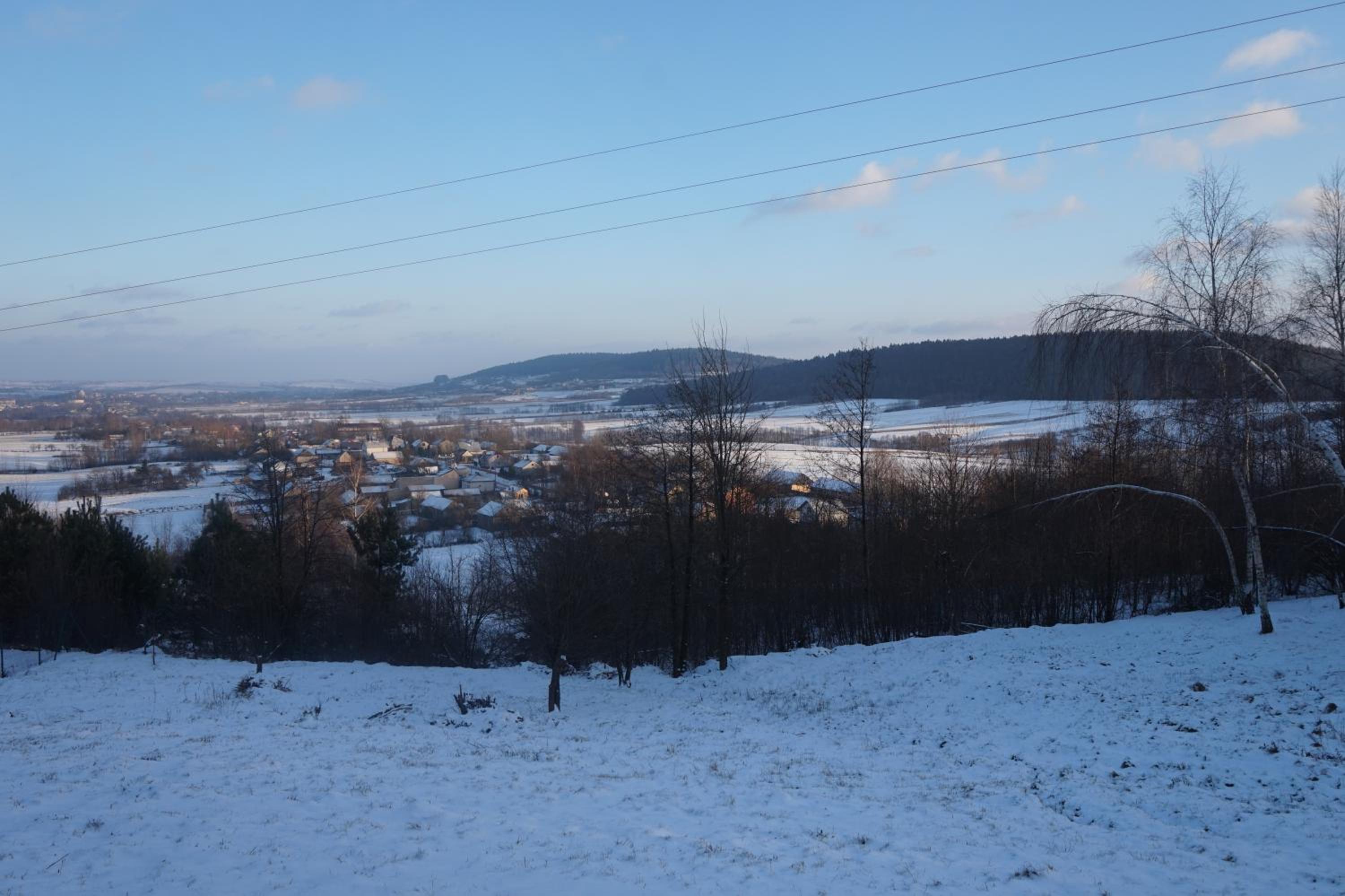 Photo 48