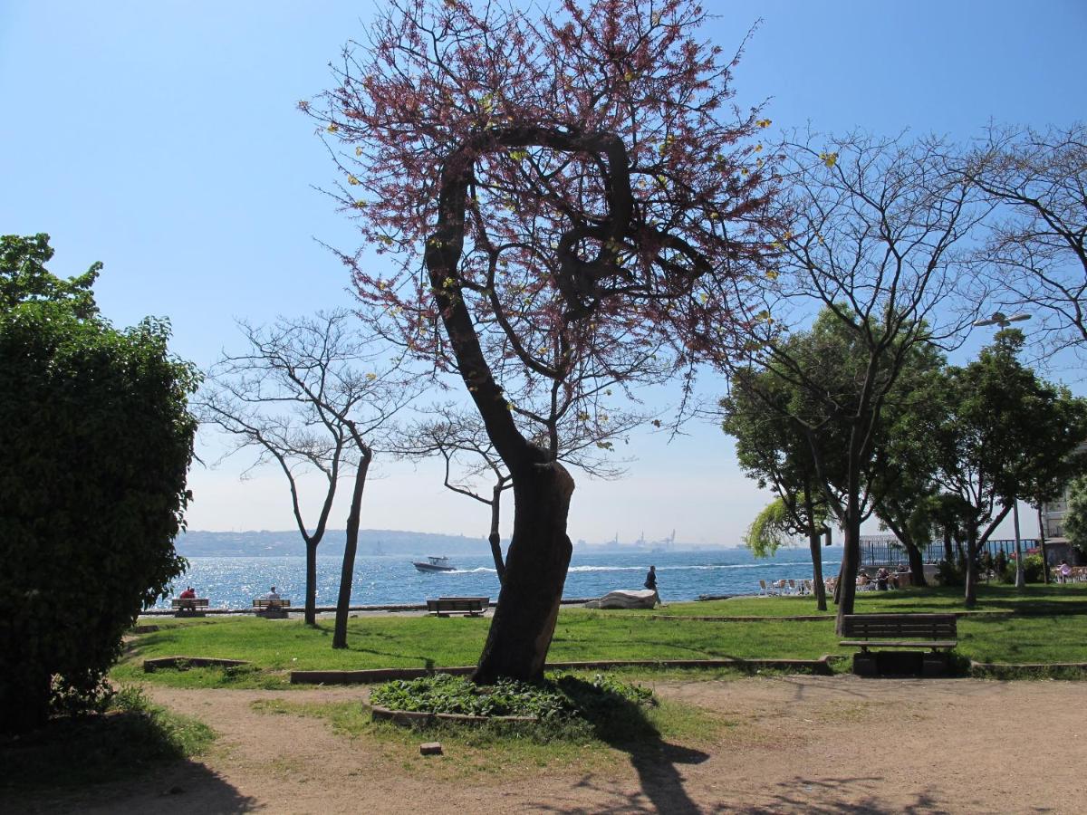 children's play area