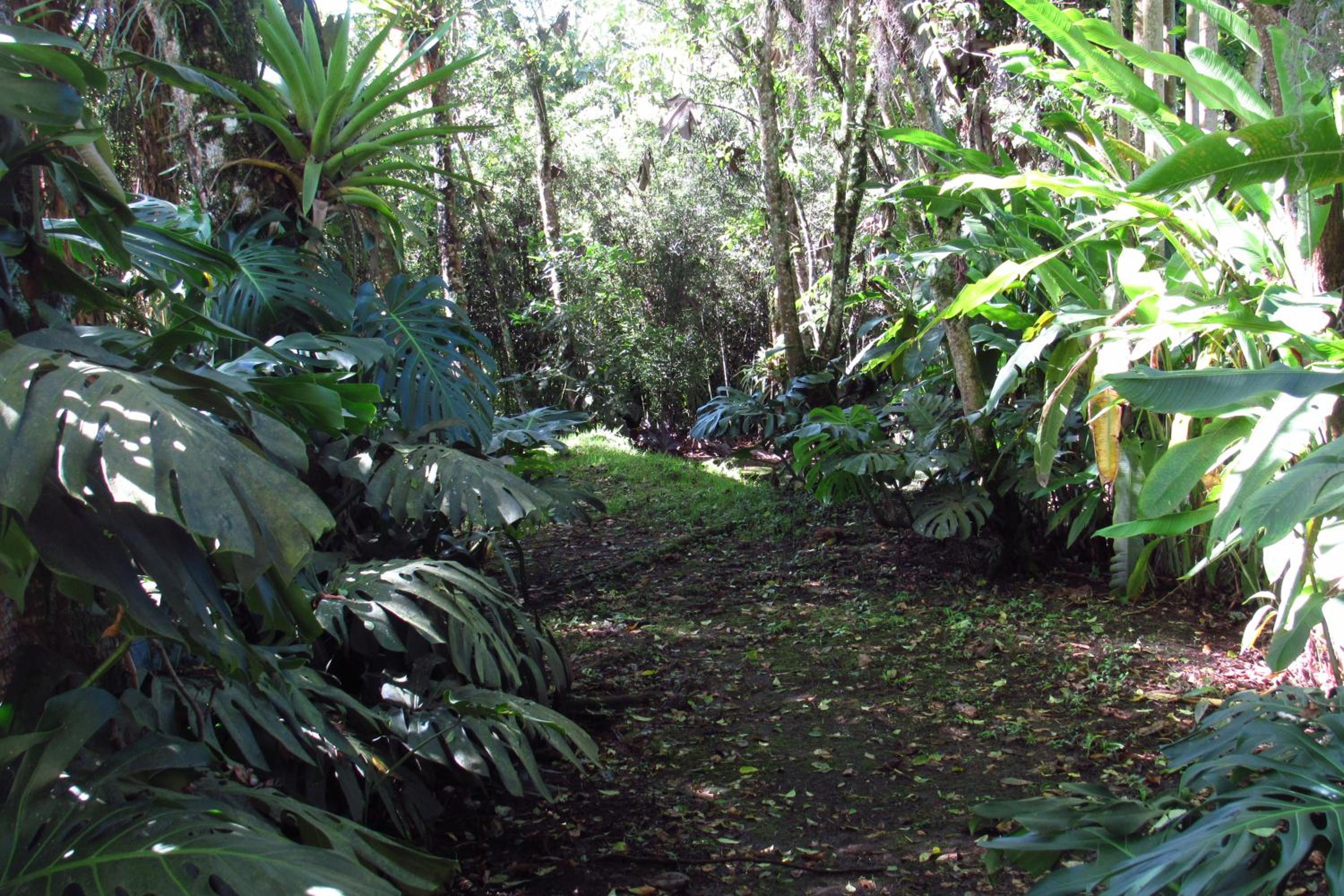 CASA DE CAMPO VILLA OLI!! - Un paraiso natural en la ciudad