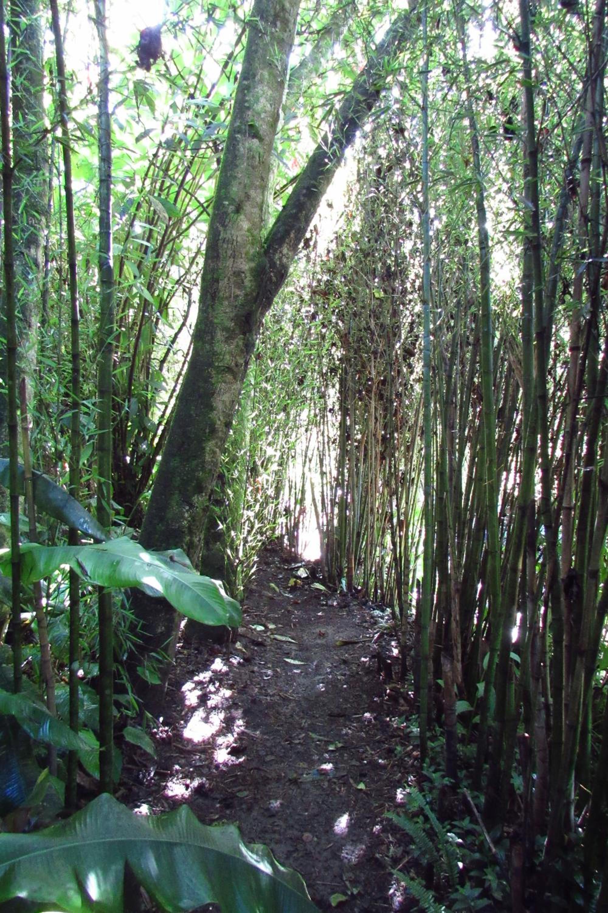 CASA DE CAMPO VILLA OLI!! - Un paraiso natural en la ciudad