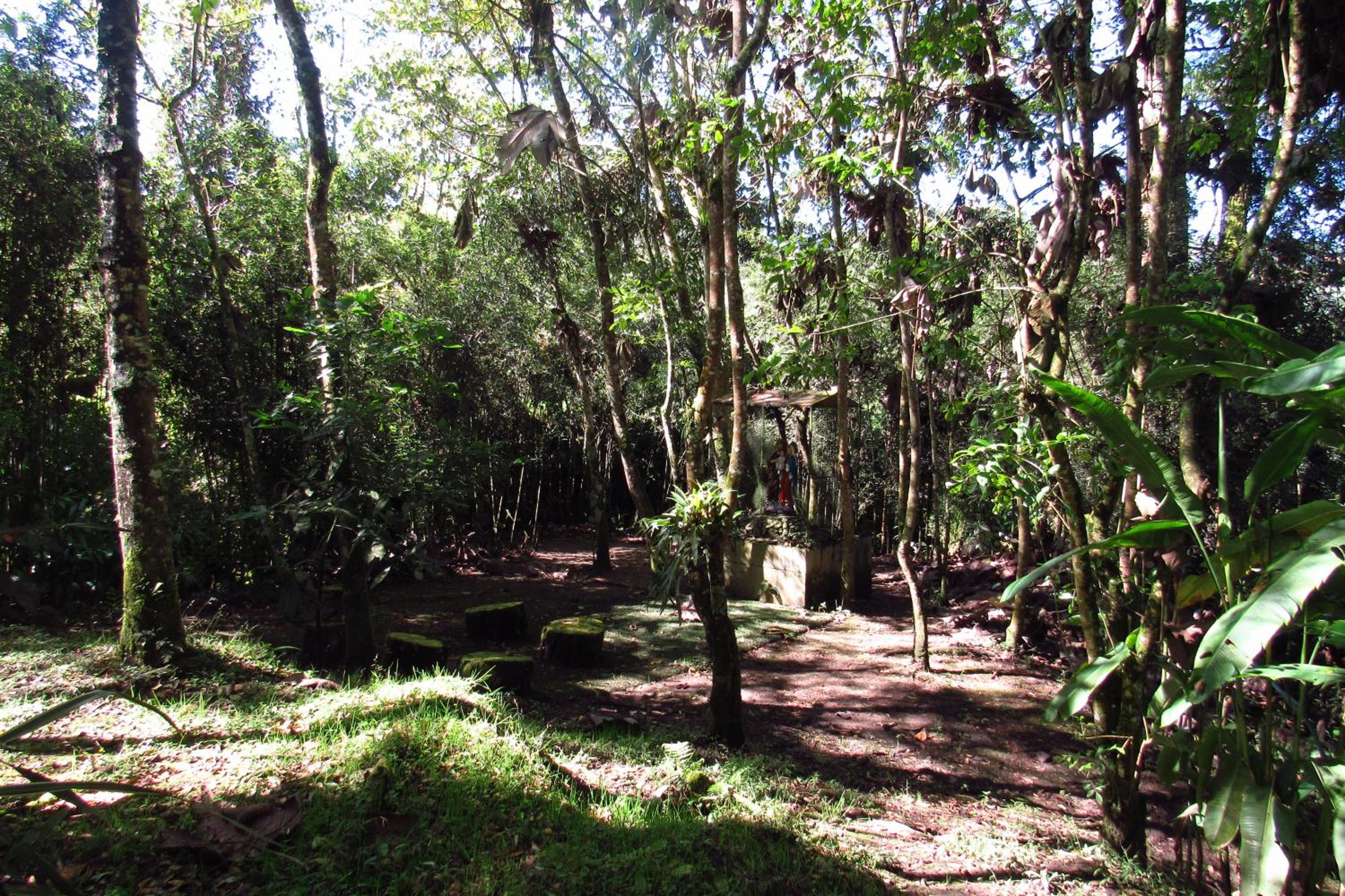 CASA DE CAMPO VILLA OLI!! - Un paraiso natural en la ciudad