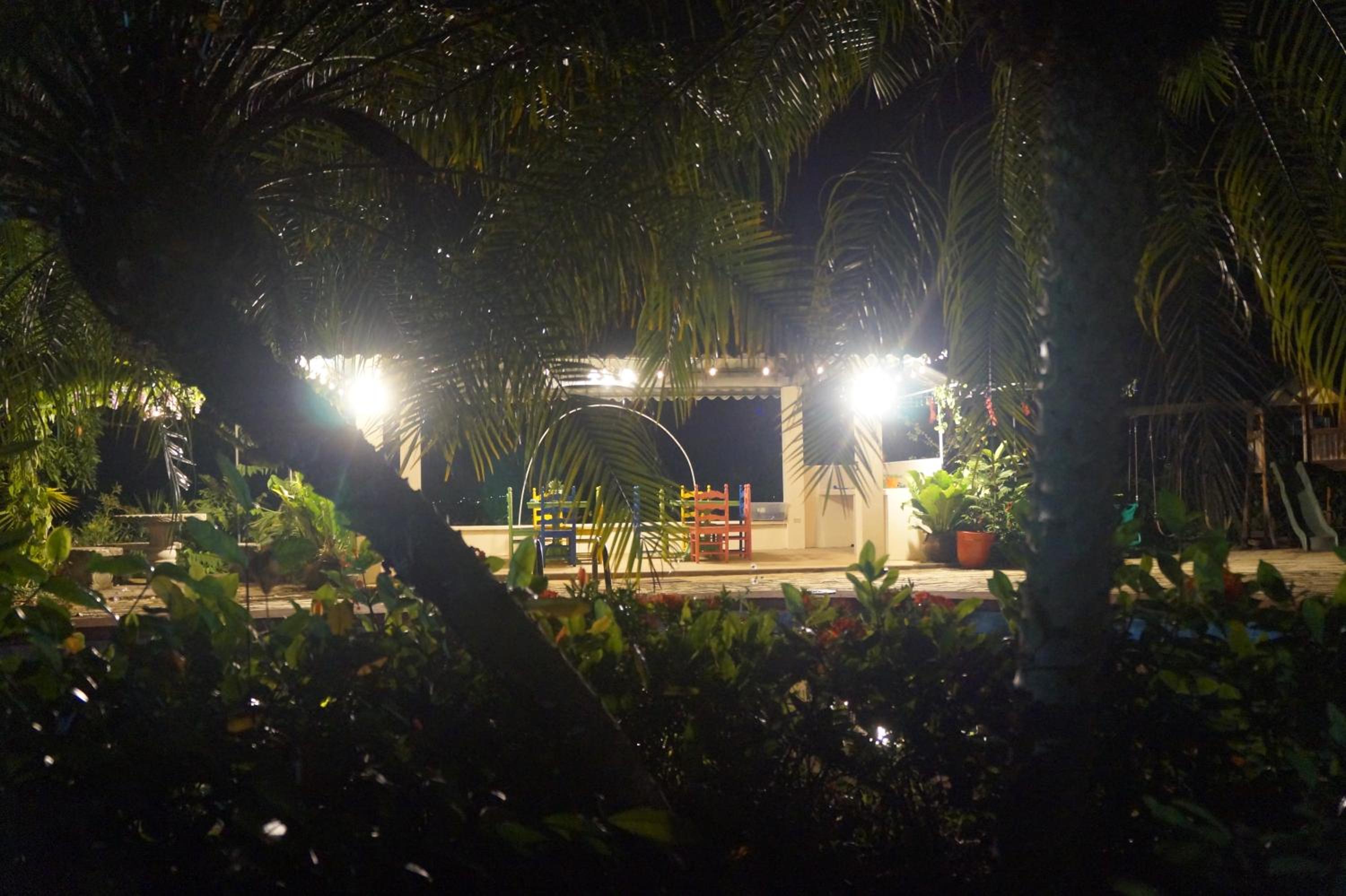 Photo 48