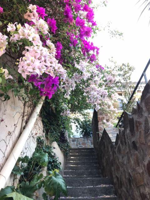 Lapacho Hostel Salta Coliving
