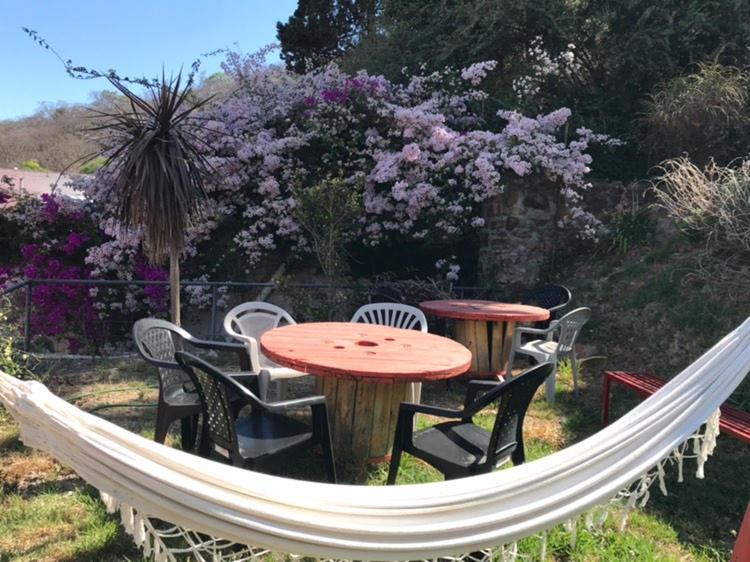 Lapacho Hostel Salta Coliving