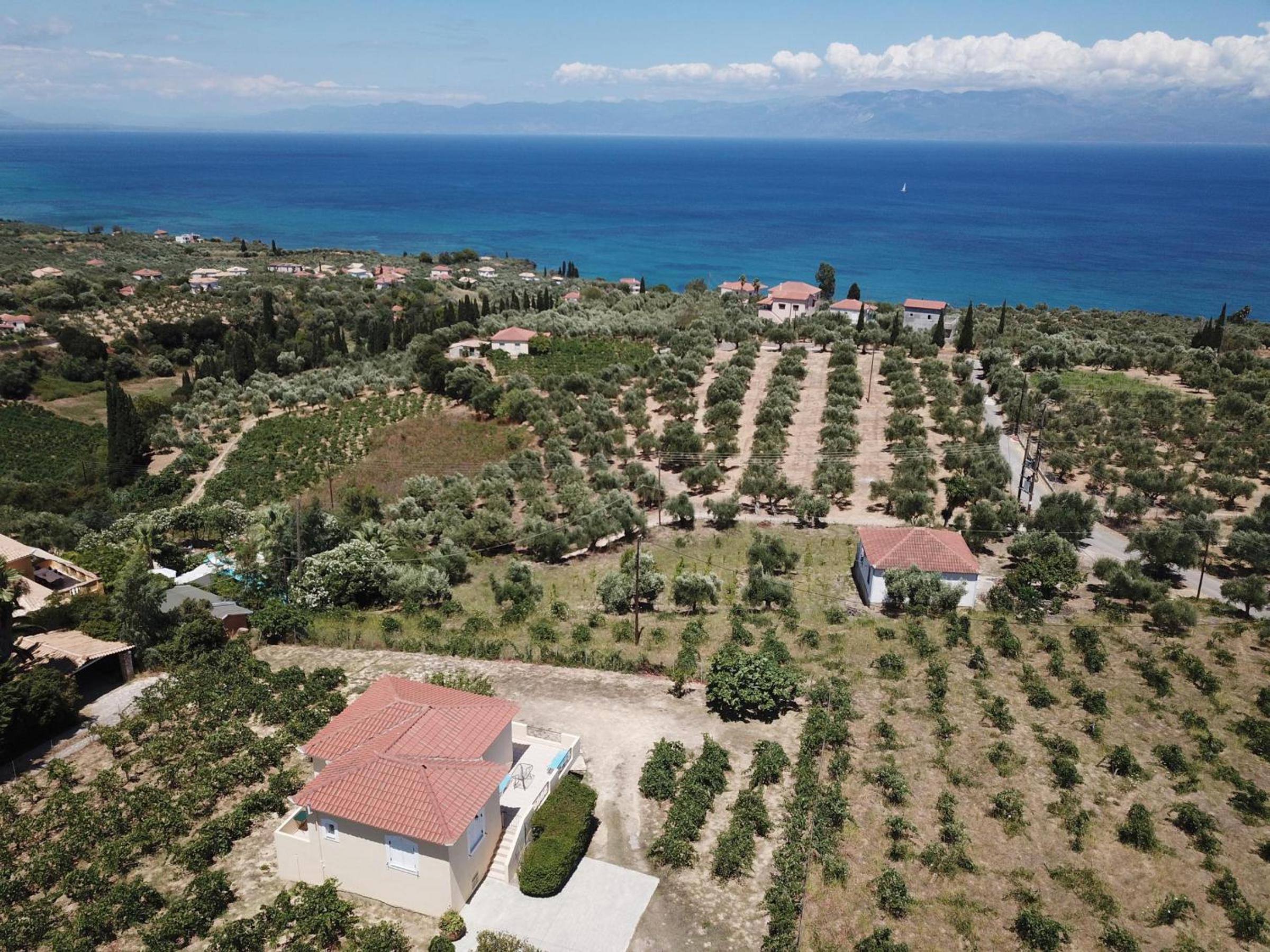 Orfanos 4 view 2