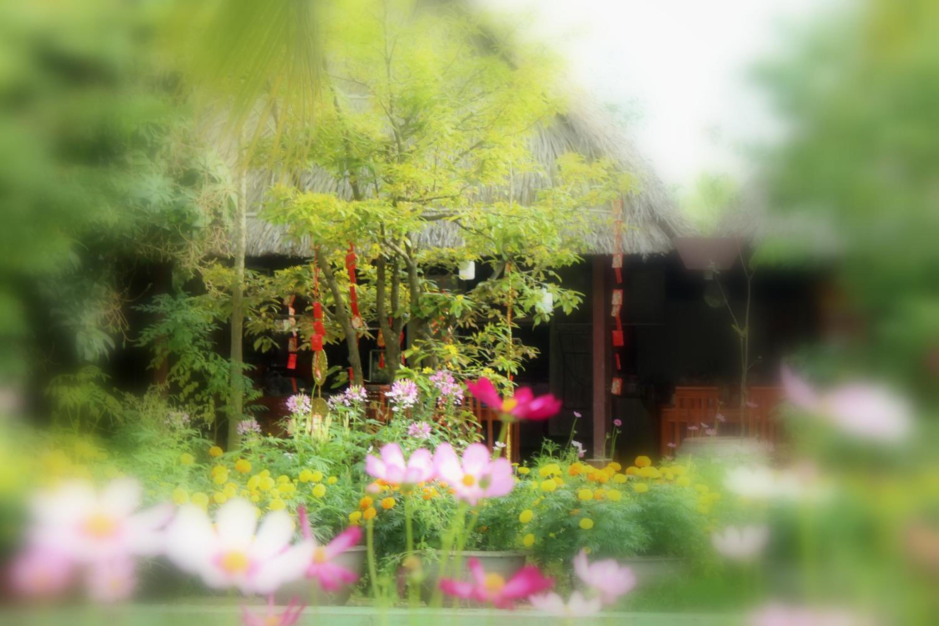 Thạch Thảo Homestay