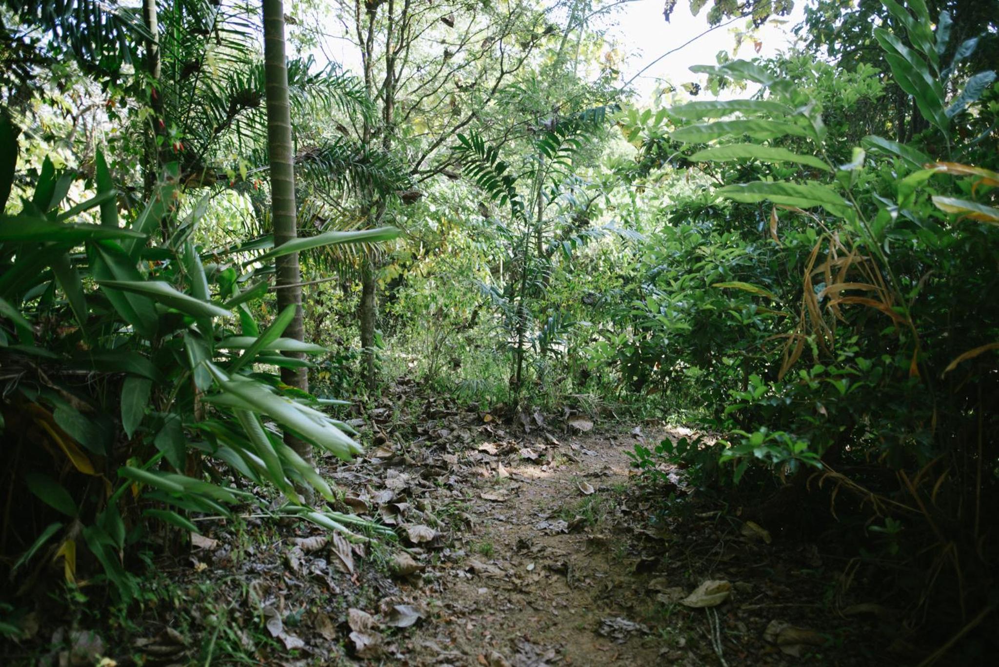 Aum Hum Homestay