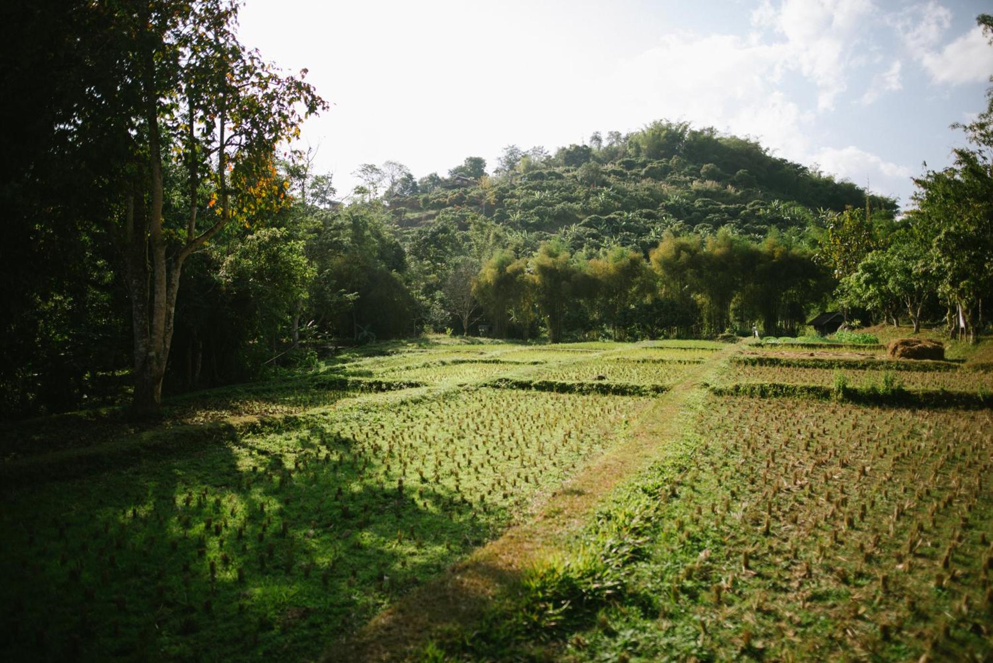 Aum Hum Homestay