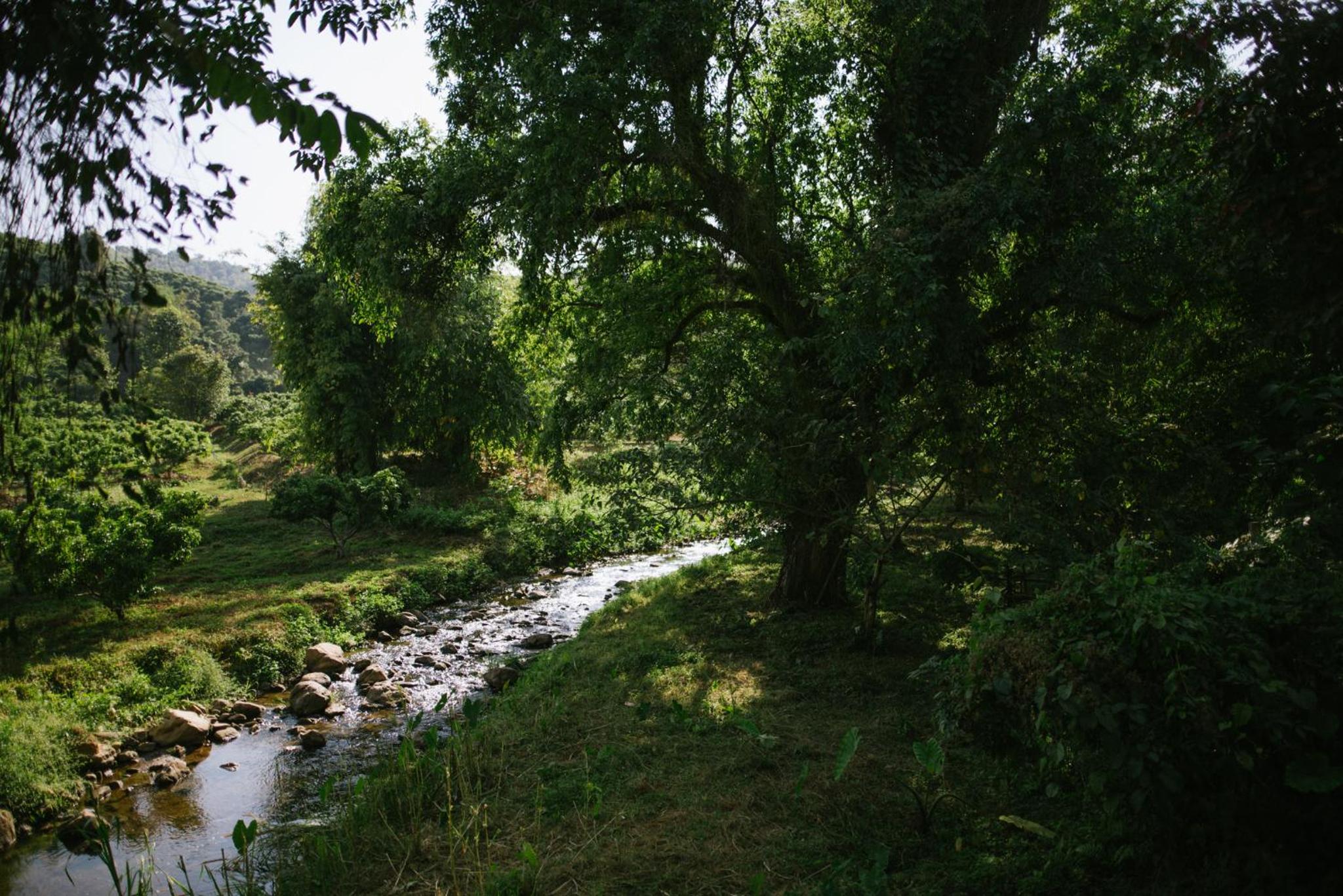 Aum Hum Homestay