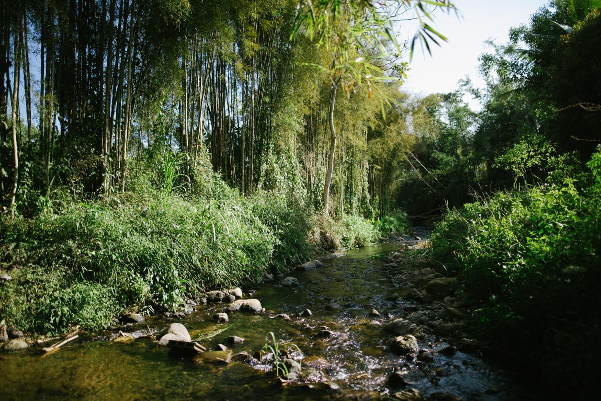 Aum Hum Homestay
