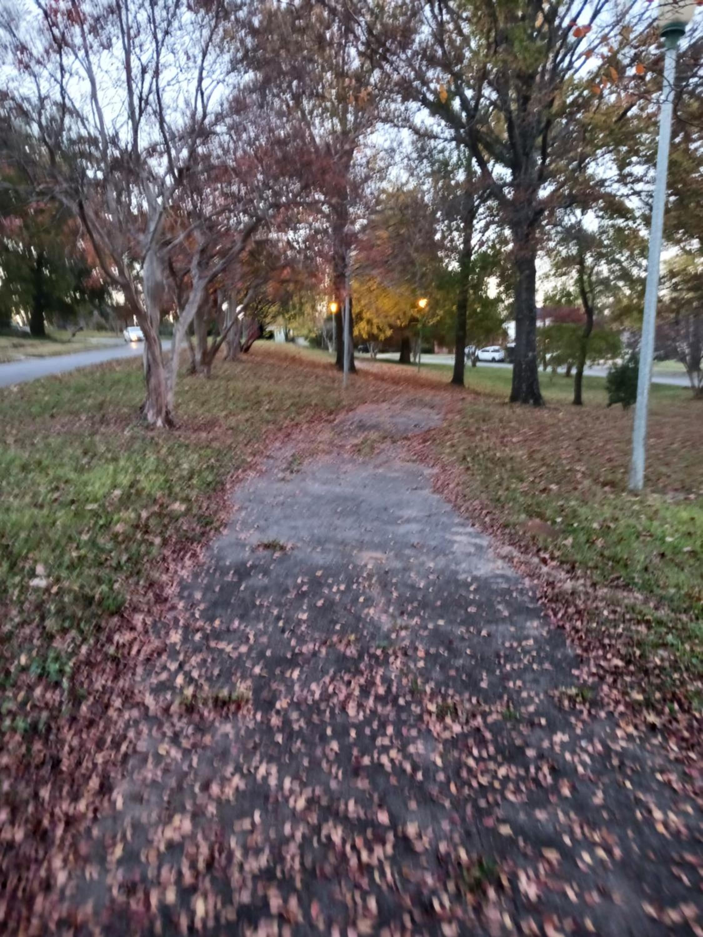 Birmingham's Spacious Uptown Family Retreat view 3