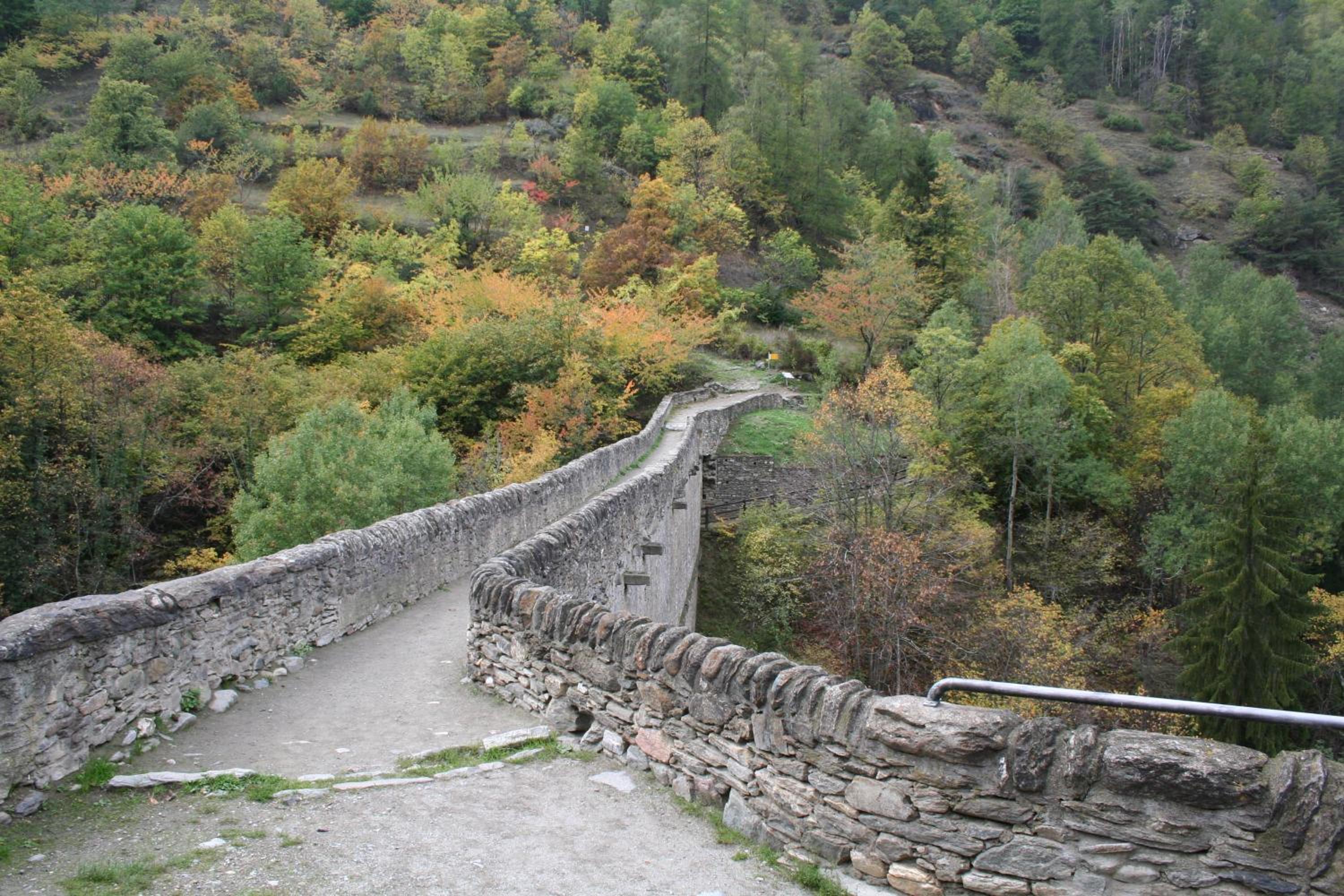 Photo 46