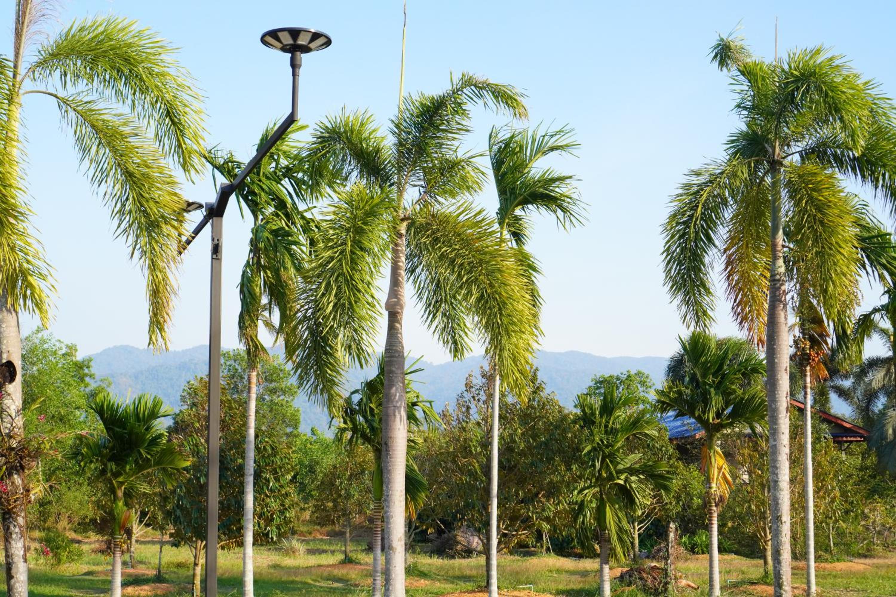 IP Plus Resort Chanthaburia - Halal Hotel