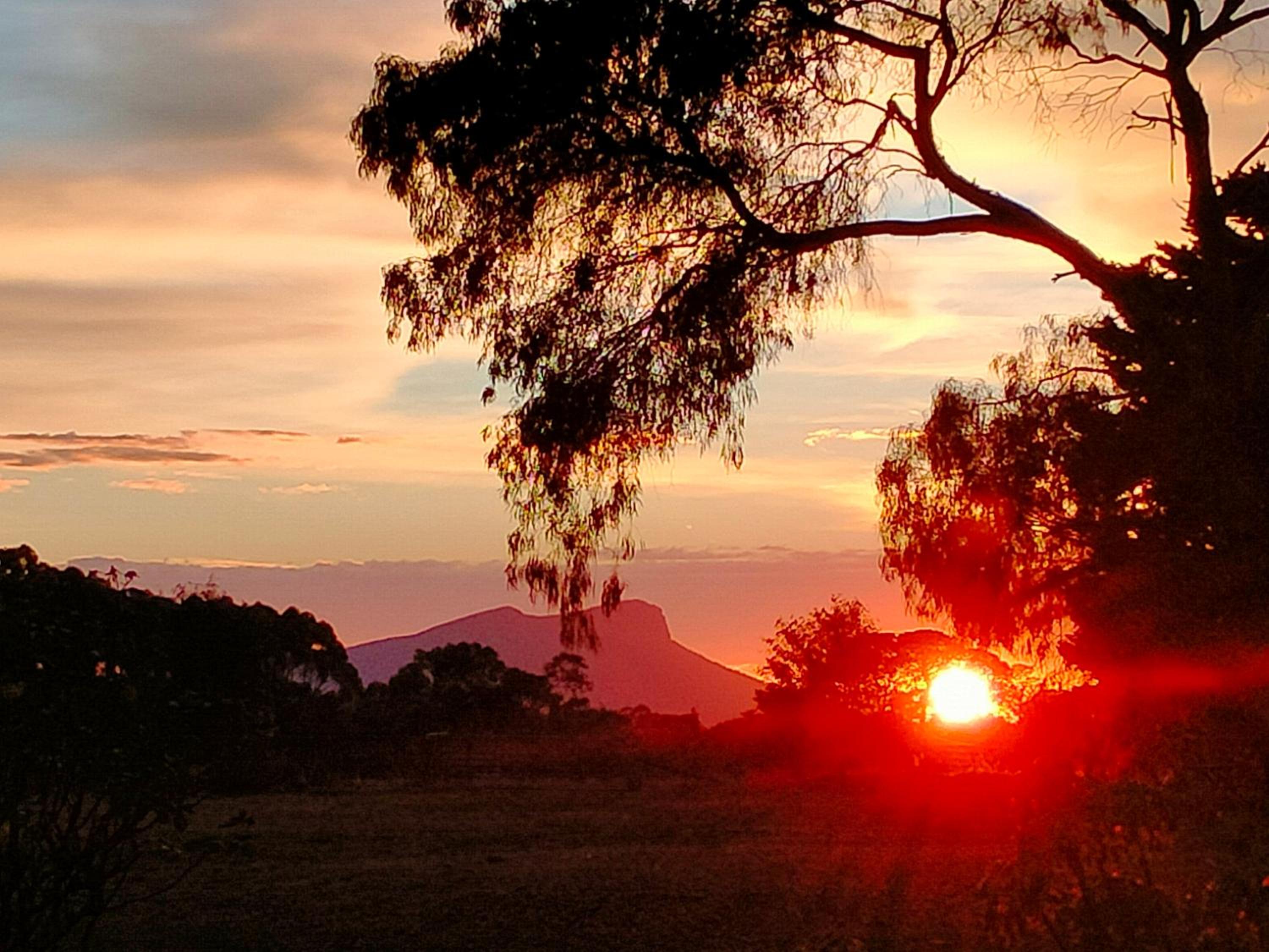 Grampians Historic Tobacco Kiln