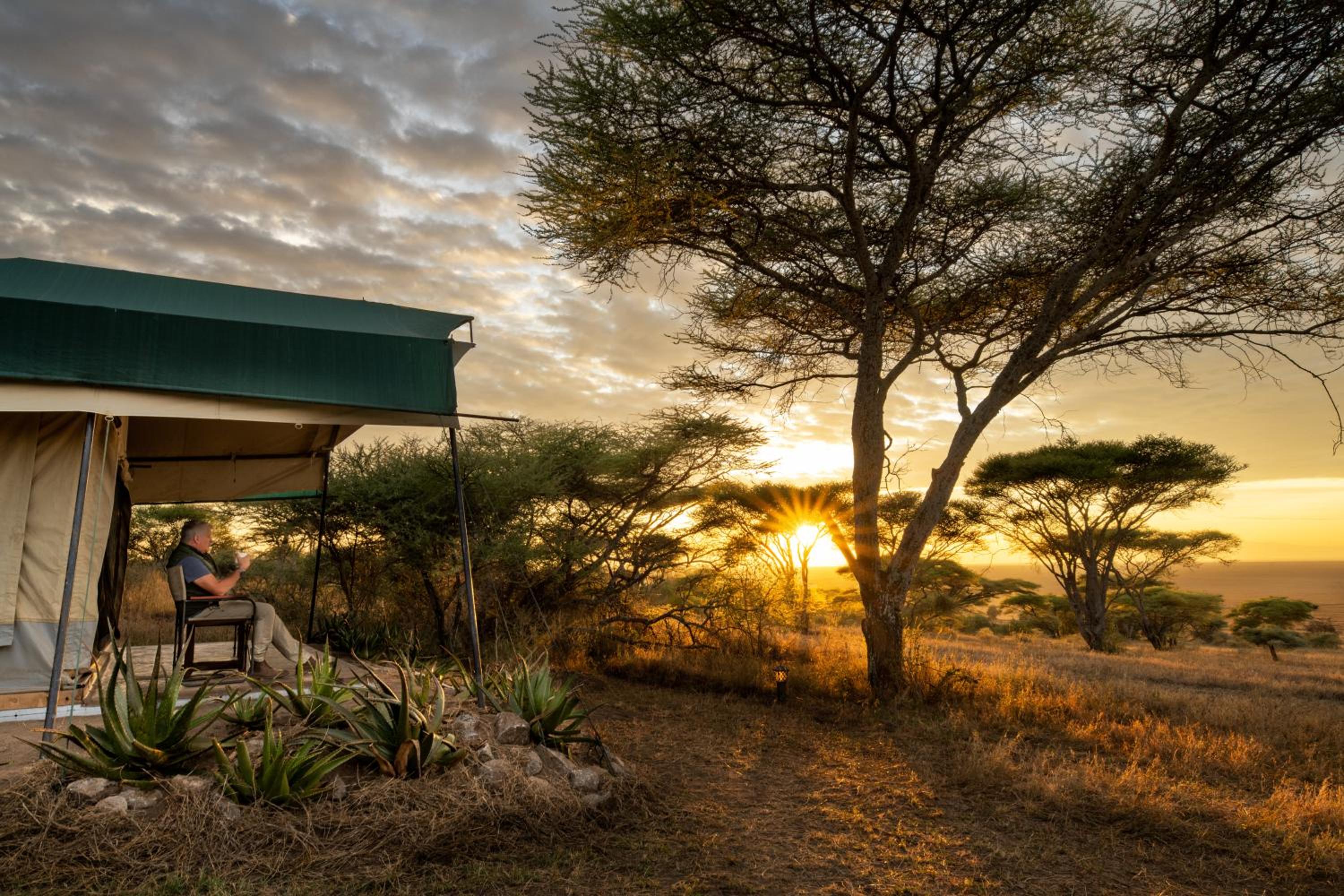 Serengeti Woodlands Camp view 2