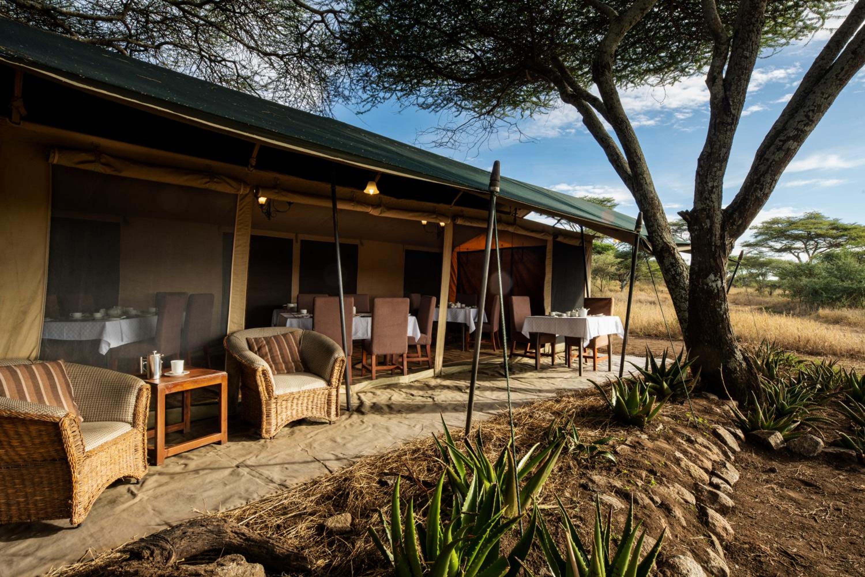 Serengeti Woodlands Camp view 5