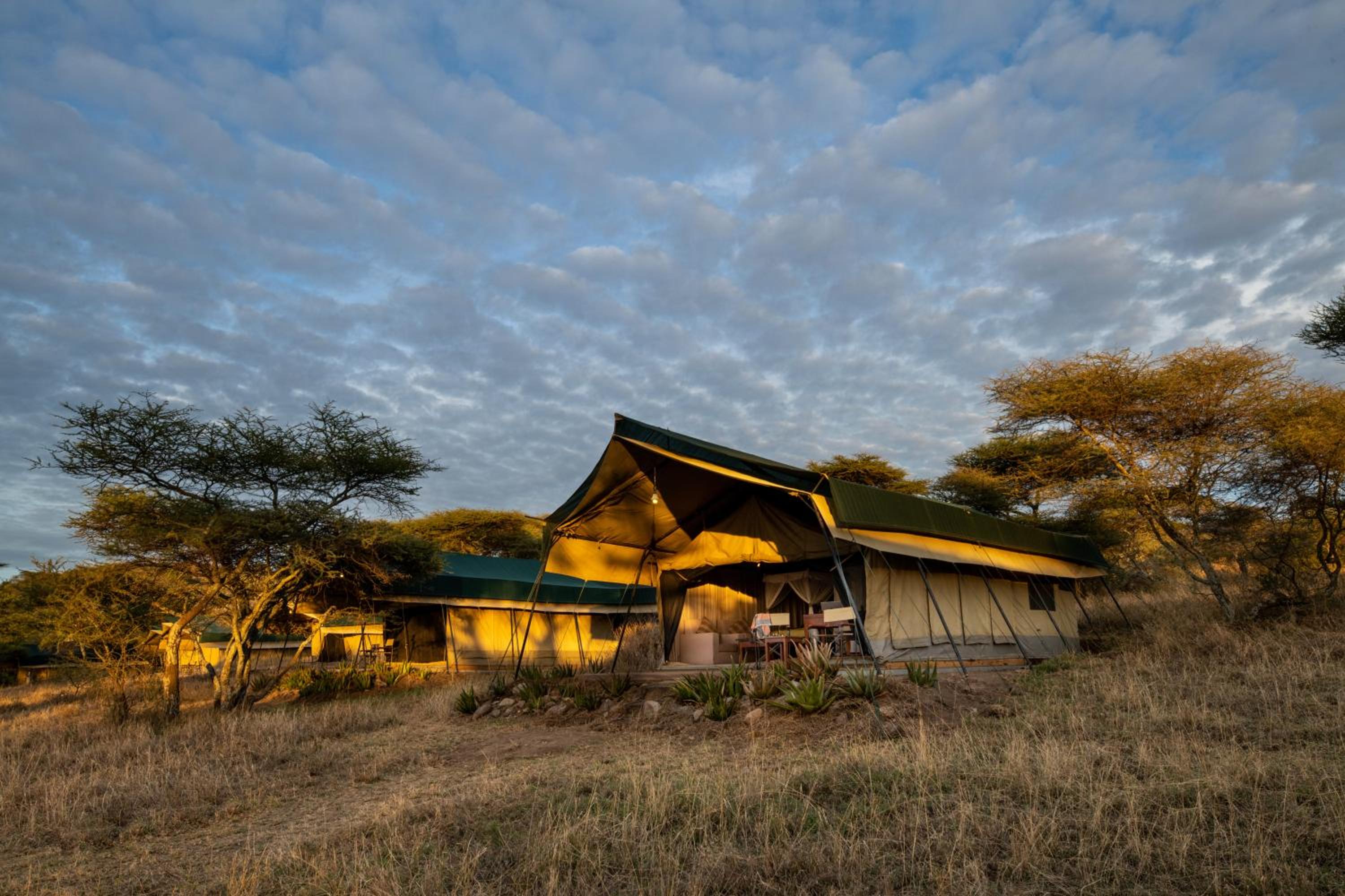 Serengeti Woodlands Camp view 4