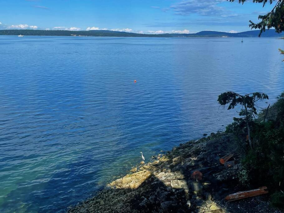 Vancouver Castle Waterfront with hot tub beach downtown