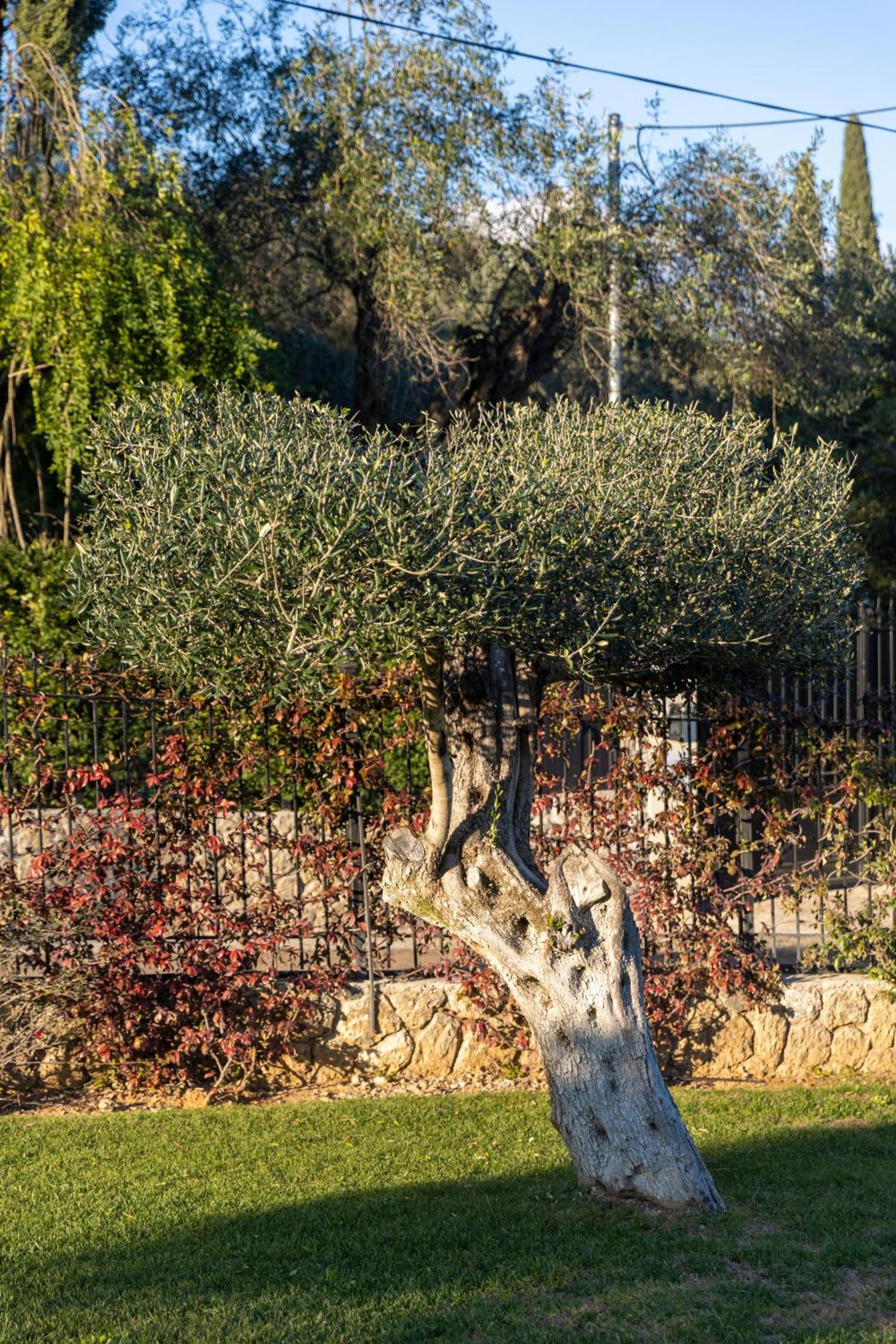 VILLA SORELLINA