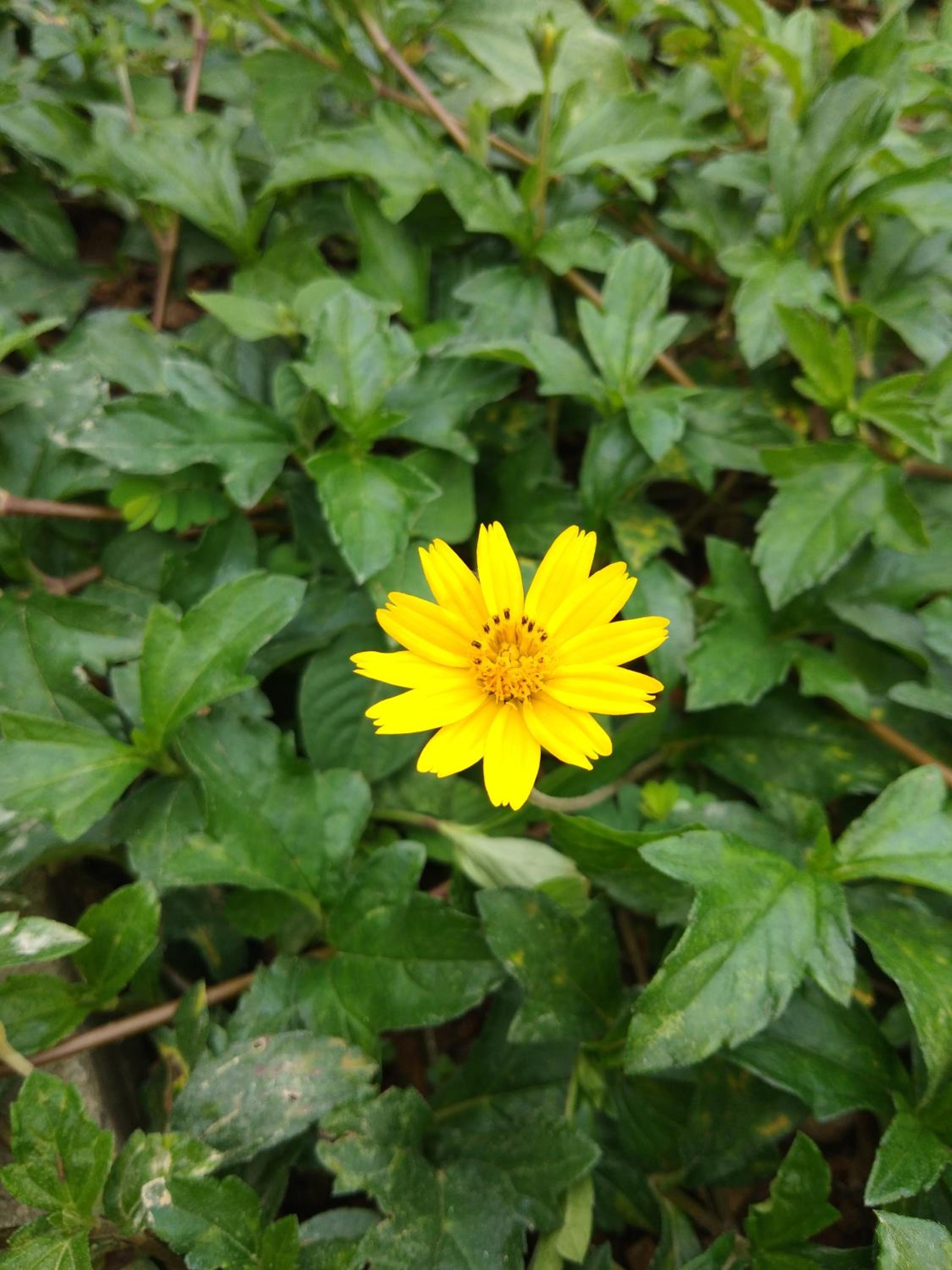 Photo 47