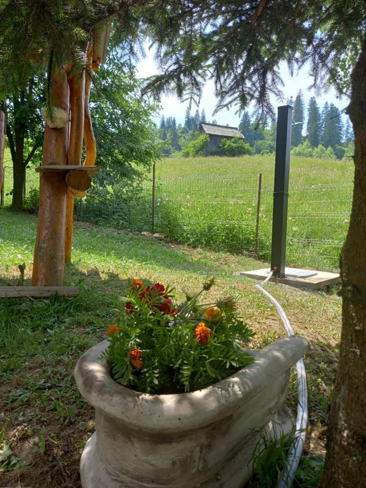 Photo 45