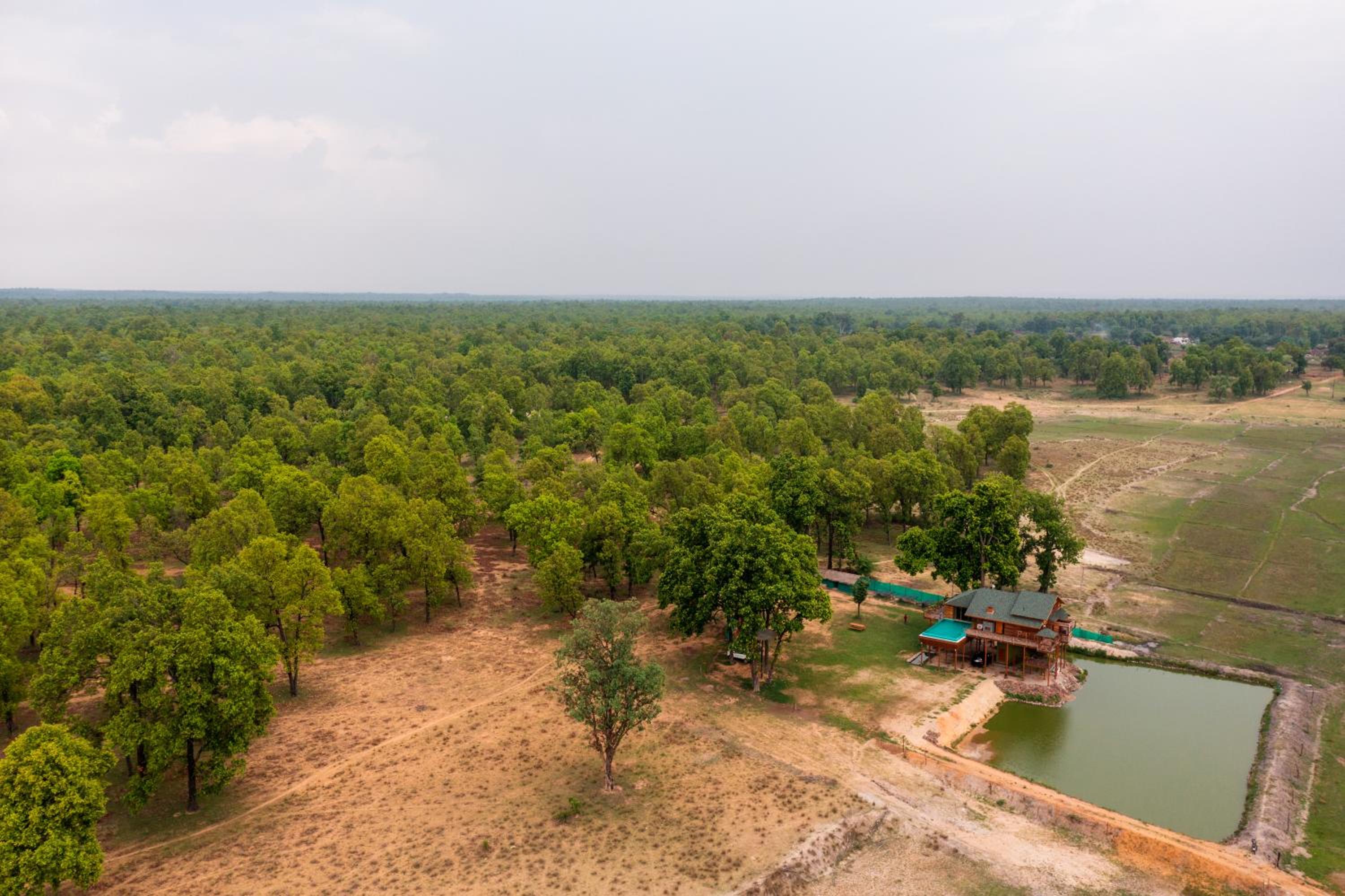 Tree Tops, Mahaman view 2