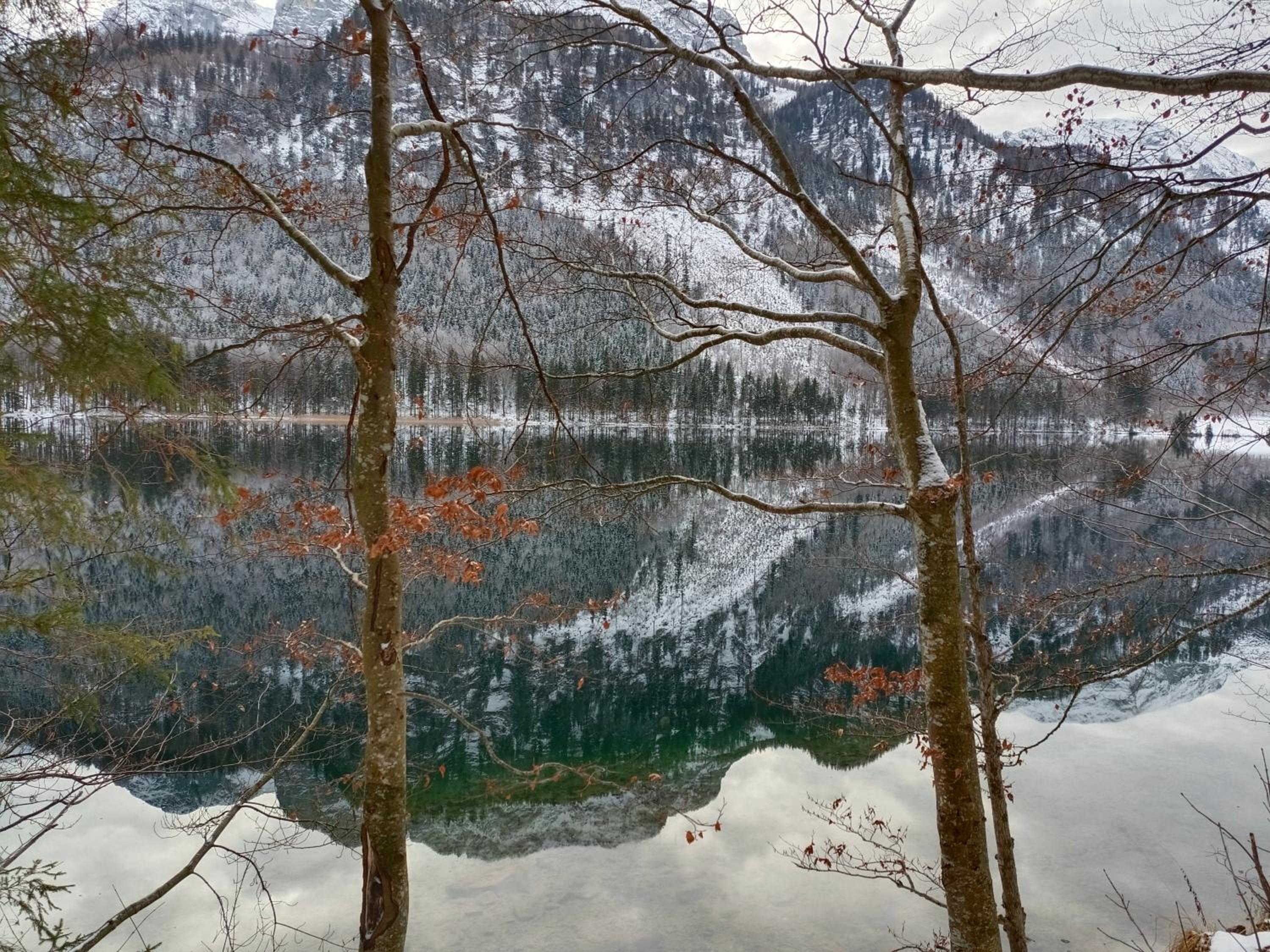 Gasthof Roitner